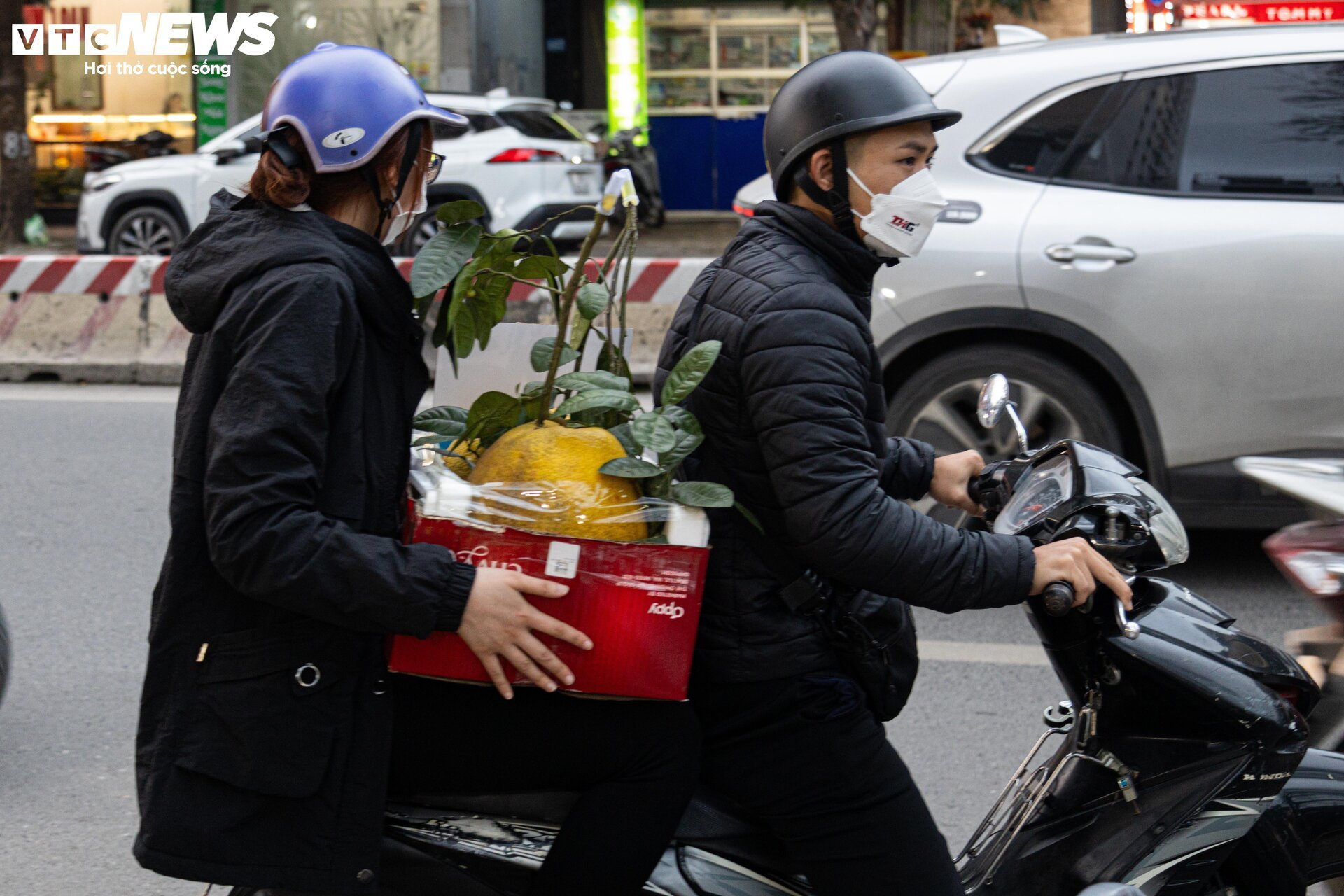 Bòng Kỳ Đà khổng lồ giá tiền triệu hút khách chơi Tết - Ảnh 12