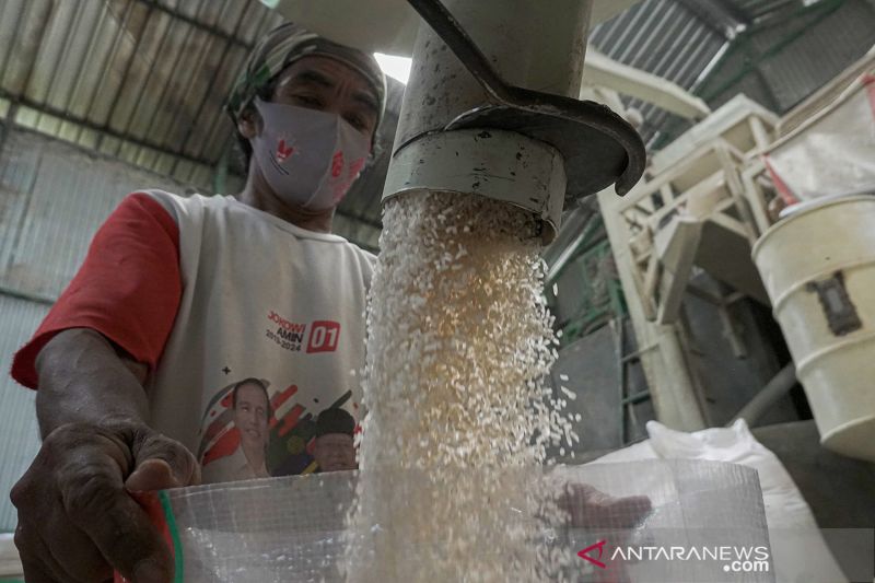 'Báu vật' 4,6 tỷ USD của Việt Nam thắng lớn, láng giềng nhận tin buồn - Ảnh 1