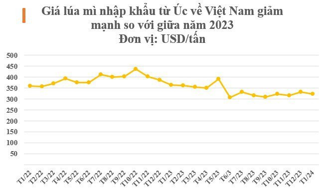 Úc bất ngờ tăng mạnh xuất sang Việt Nam một 'mỏ vàng' thế giới đang cực khan hiếm, Trung Quốc lục lọi khắp nơi để gom hàng - Ảnh 3