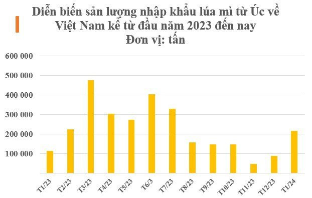 Úc bất ngờ tăng mạnh xuất sang Việt Nam một 'mỏ vàng' thế giới đang cực khan hiếm, Trung Quốc lục lọi khắp nơi để gom hàng - Ảnh 2
