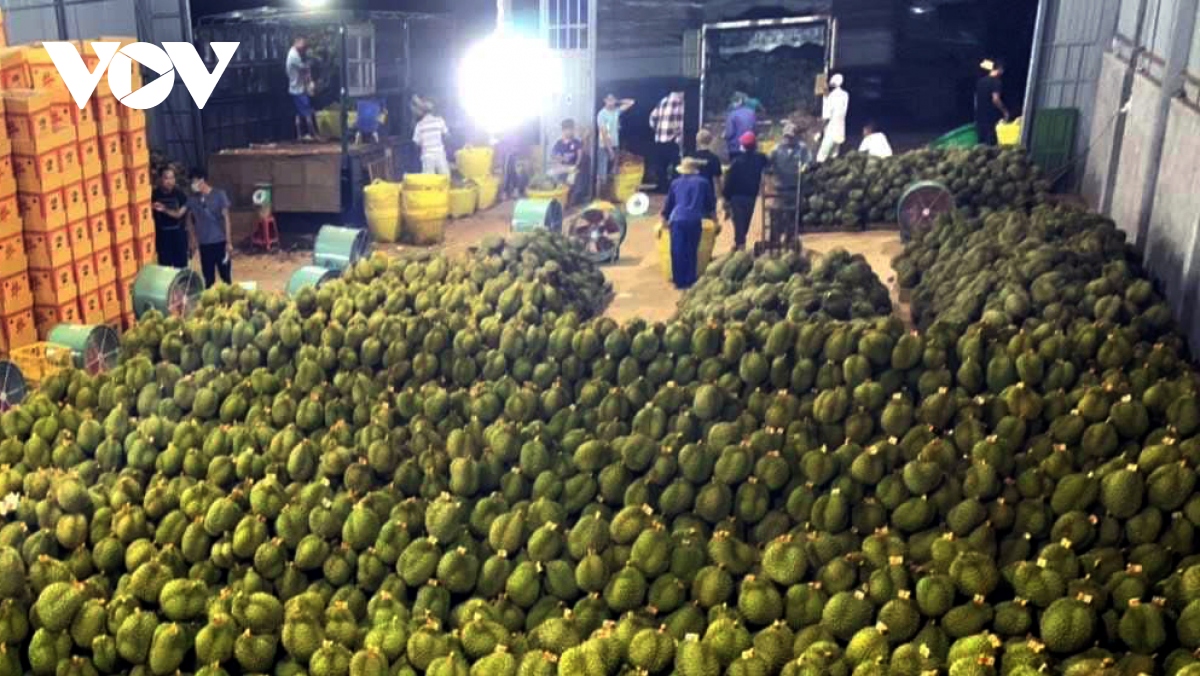 Xuất khẩu năm 2024 kỳ vọng khởi sắc từ những tín hiệu tích cực - Ảnh 3