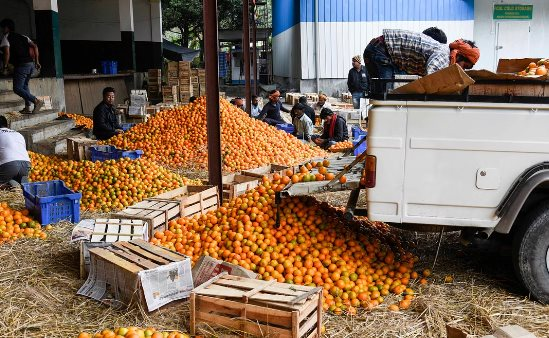 Sở hữu ‘bảo bối tỷ đô’ được 2/3 thế giới ưa chuộng, Việt Nam thu hơn 5 tỷ USD trong năm 2023, đi đến đâu được ưa chuộng đến đó - Ảnh 1