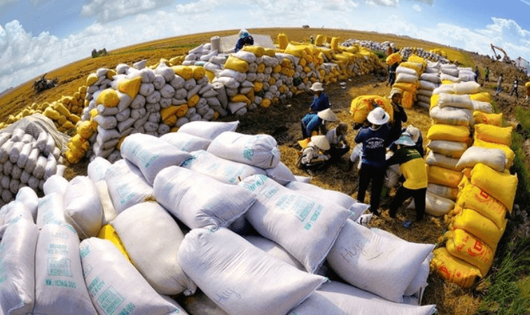 Xuất hiện 1 ‘cá mập’ mua gạo Việt với giá hơn 1.000 USD/tấn: Soán ngôi Trung Quốc trở thành khách hàng lớn thứ 2, nhập khẩu tăng hơn 16.000% - Ảnh 1