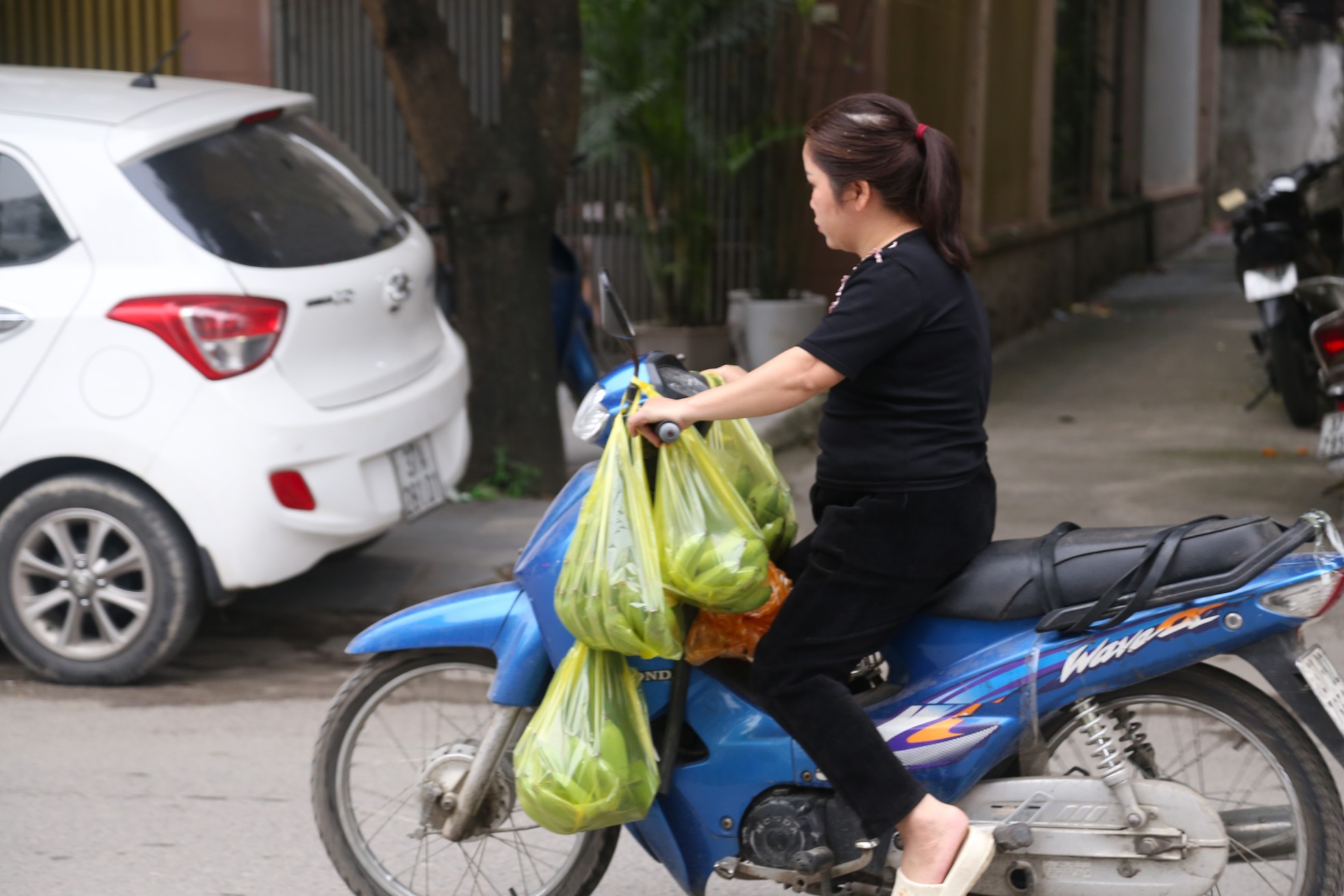 Chuối xanh Tết tăng giá vùn vụt - Ảnh 15