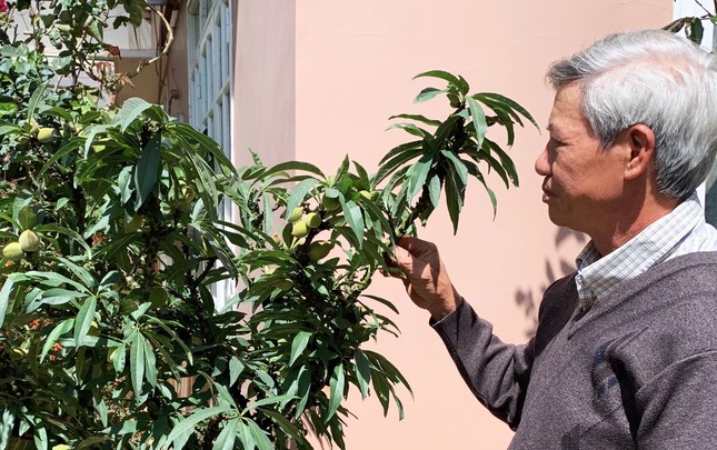 Loại đào quý hiếm, xa xỉ bậc nhất ở Đà Lạt - Ảnh 4