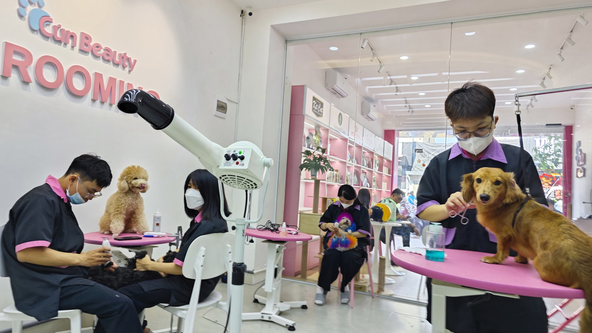 Khách sạn cho thú cưng “cháy phòng” dịp Tết - Ảnh 1