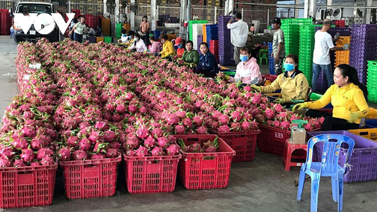 Xuất khẩu năm 2024 kỳ vọng khởi sắc từ những tín hiệu tích cực - Ảnh 1