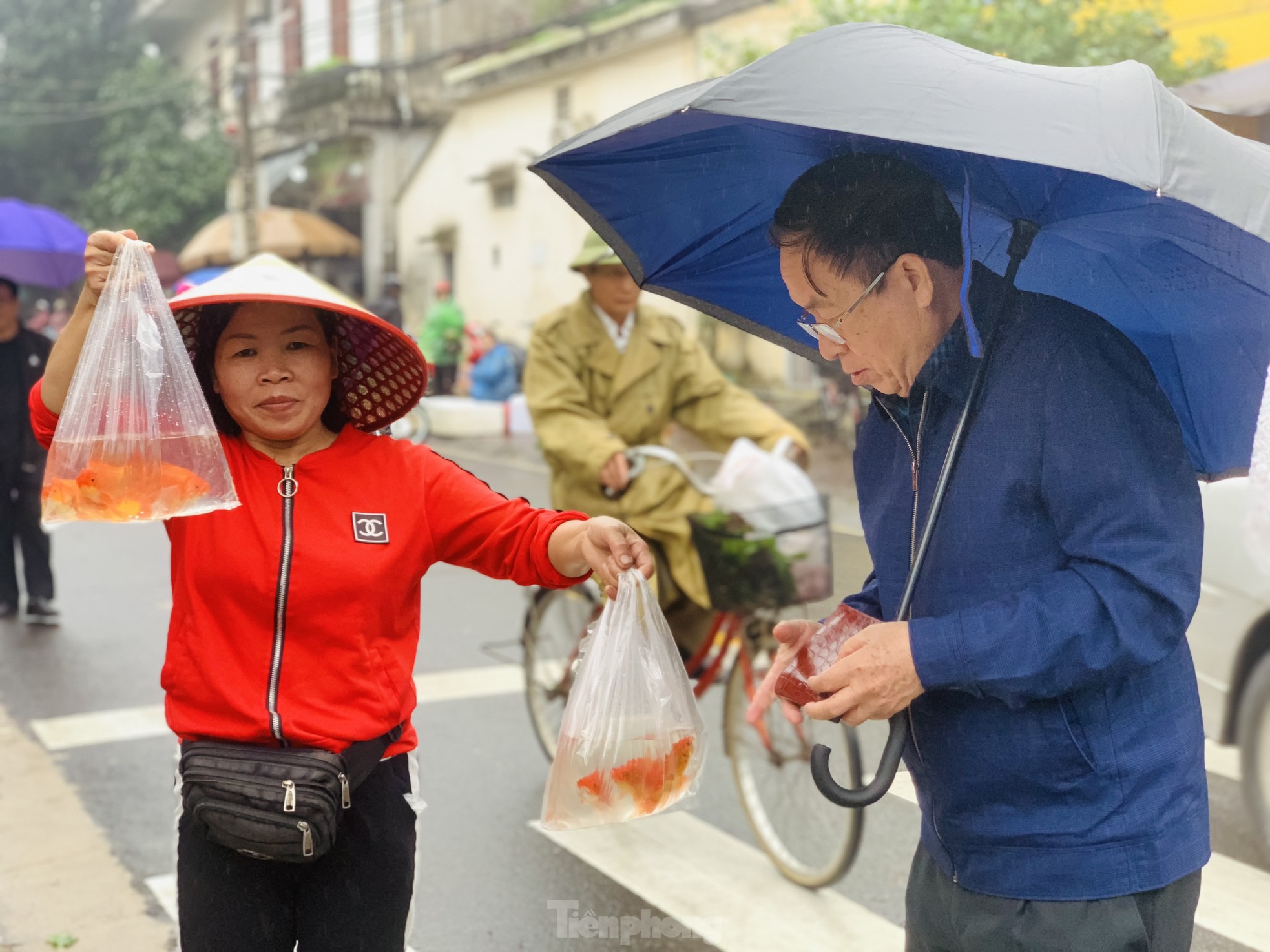 Ế 'vật cưỡi' ông Công ông Táo, dân nóng ruột chờ khách - Ảnh 2