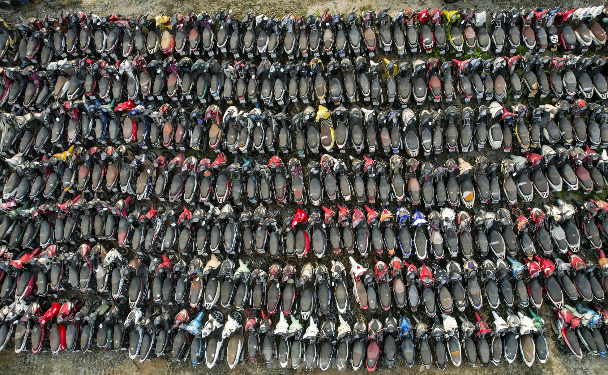 Xe vi phạm chồng chất trong kho bãi ở TPHCM sau Tết - Ảnh 9