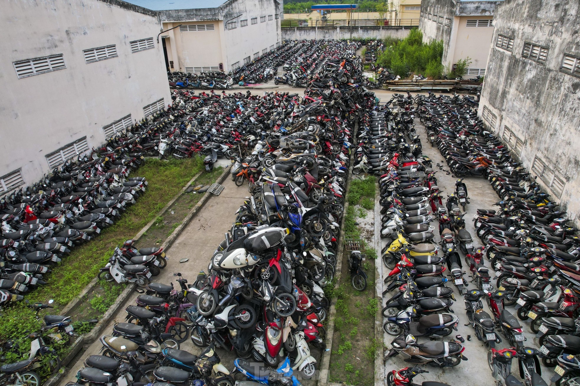 Xe vi phạm chồng chất trong kho bãi ở TPHCM sau Tết - Ảnh 7