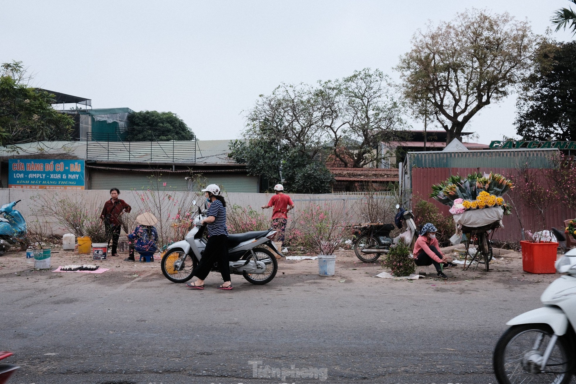 Xả đào kịch sàn sau Tết, tiểu thương vẫn ngán ngẩm lắc đầu - Ảnh 1
