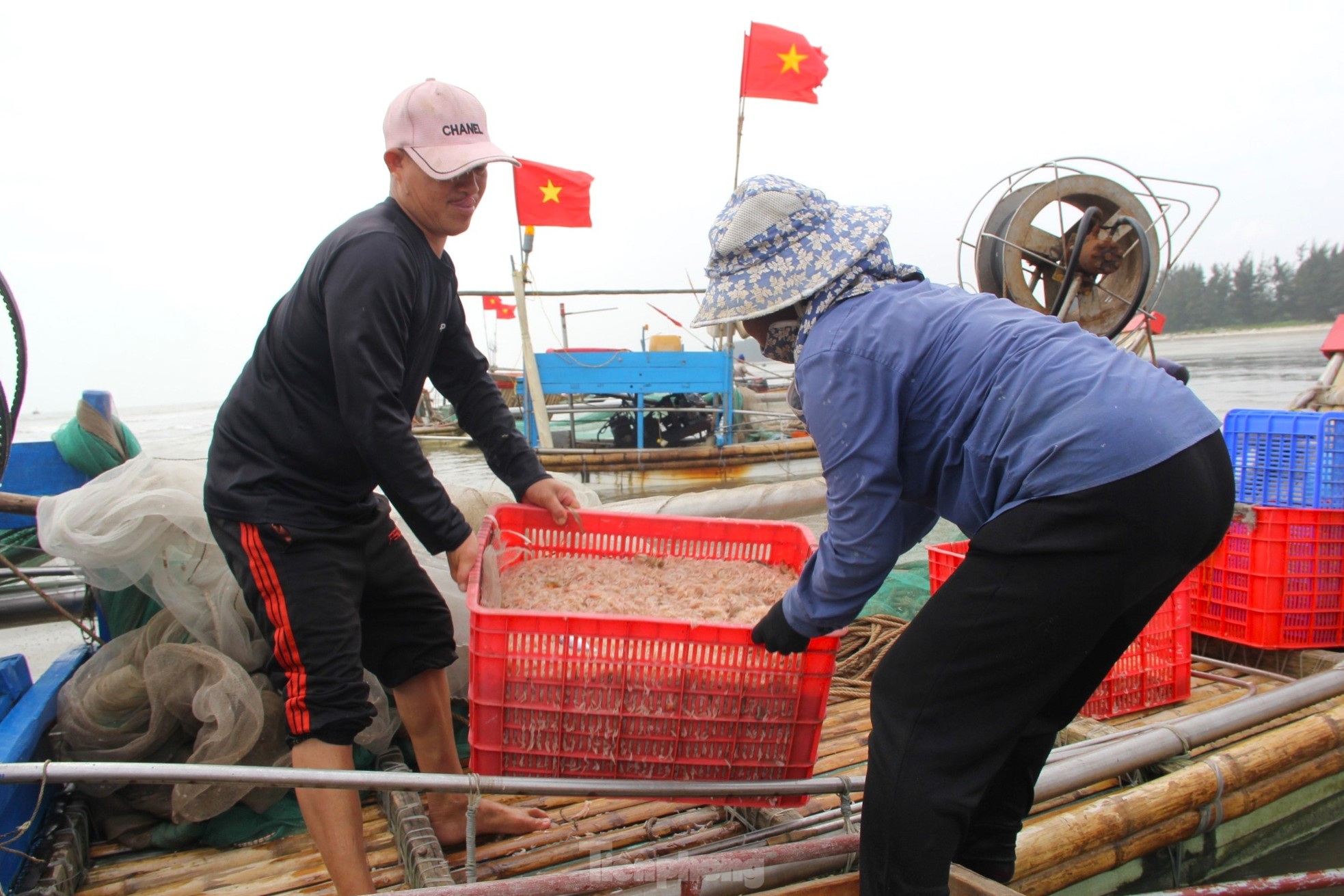 Sau vài giờ xông biển đầu năm, ngư dân thu tiền triệu - Ảnh 2