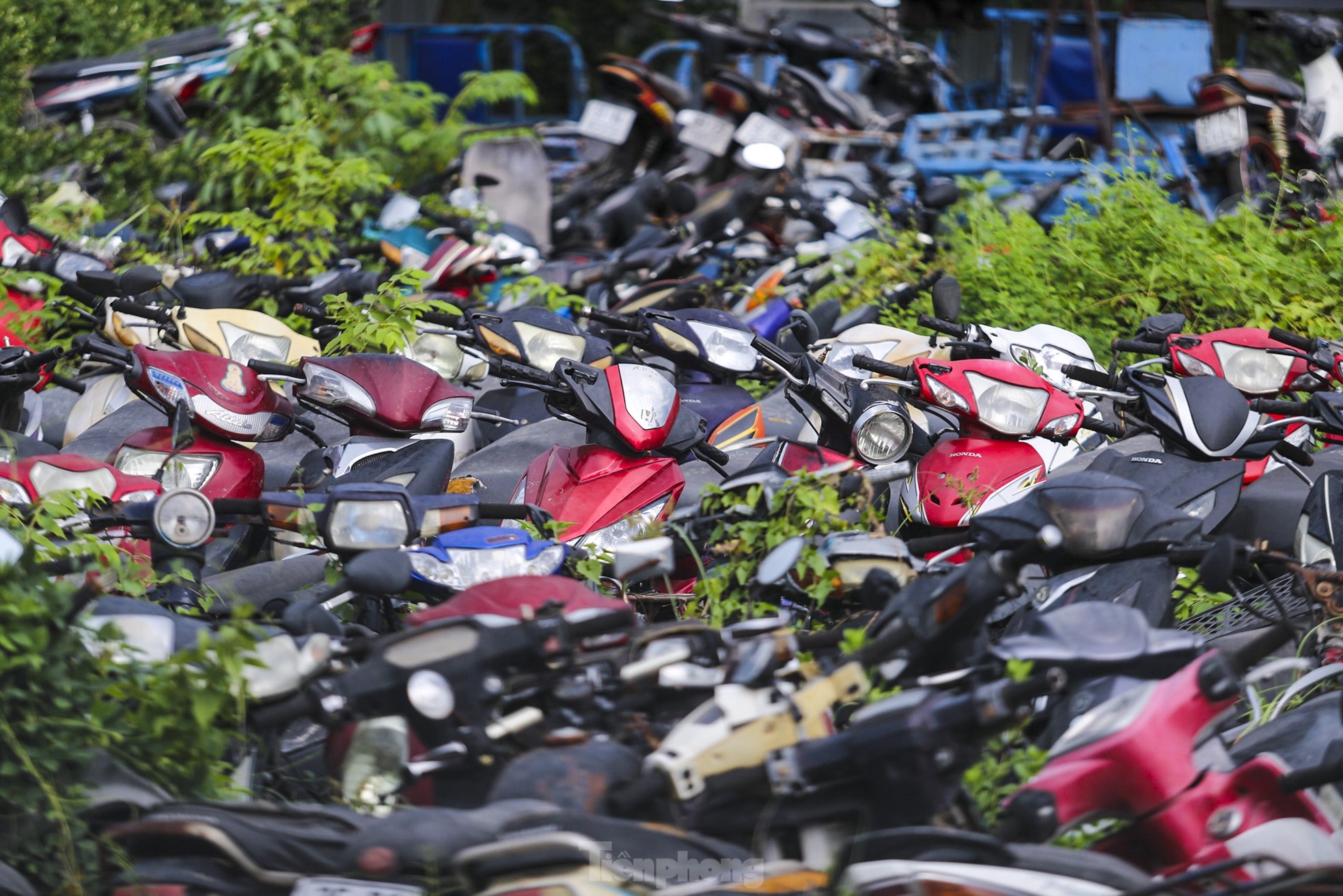 Xe vi phạm chồng chất trong kho bãi ở TPHCM sau Tết - Ảnh 2