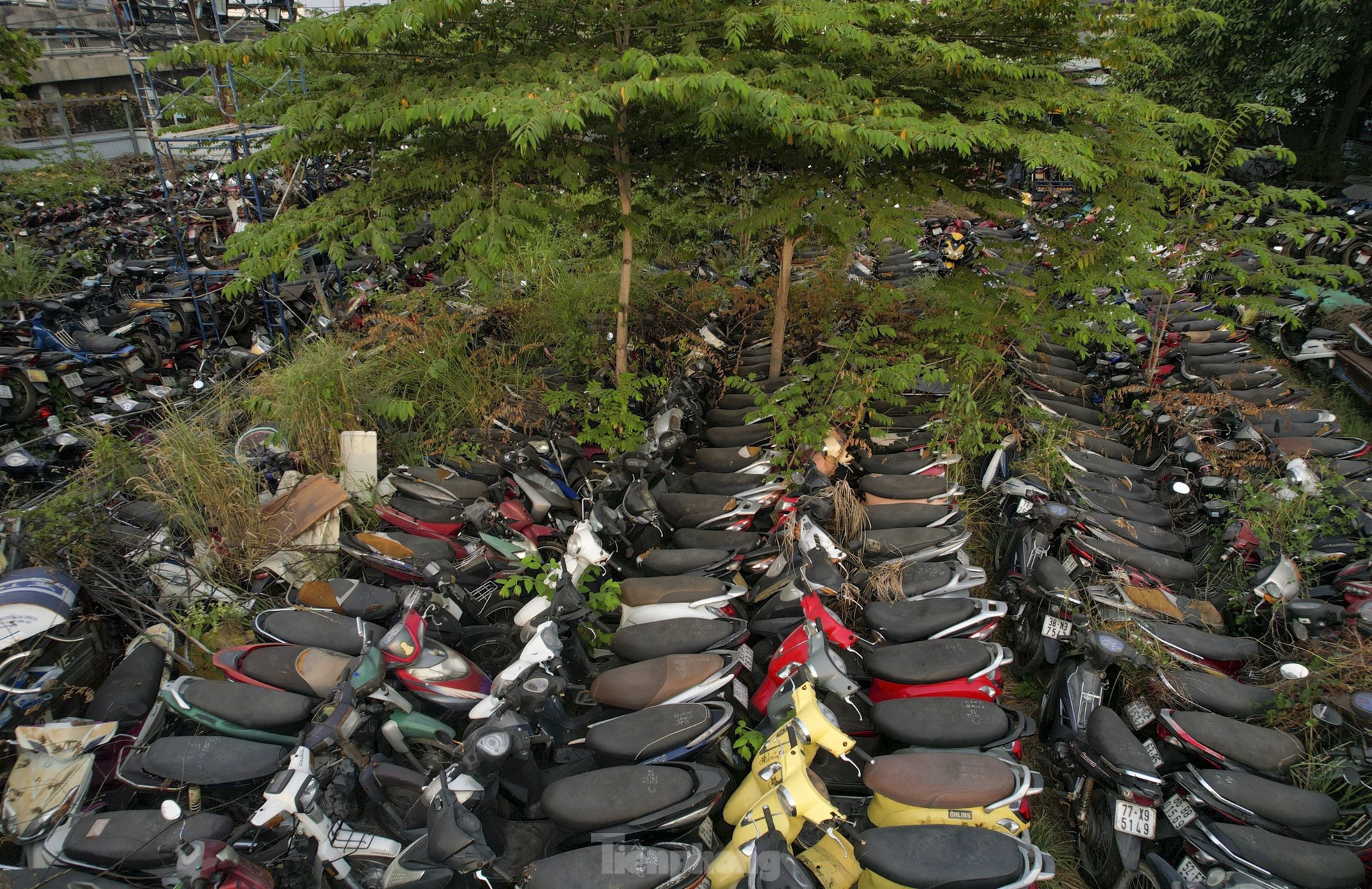 Xe vi phạm chồng chất trong kho bãi ở TPHCM sau Tết - Ảnh 8