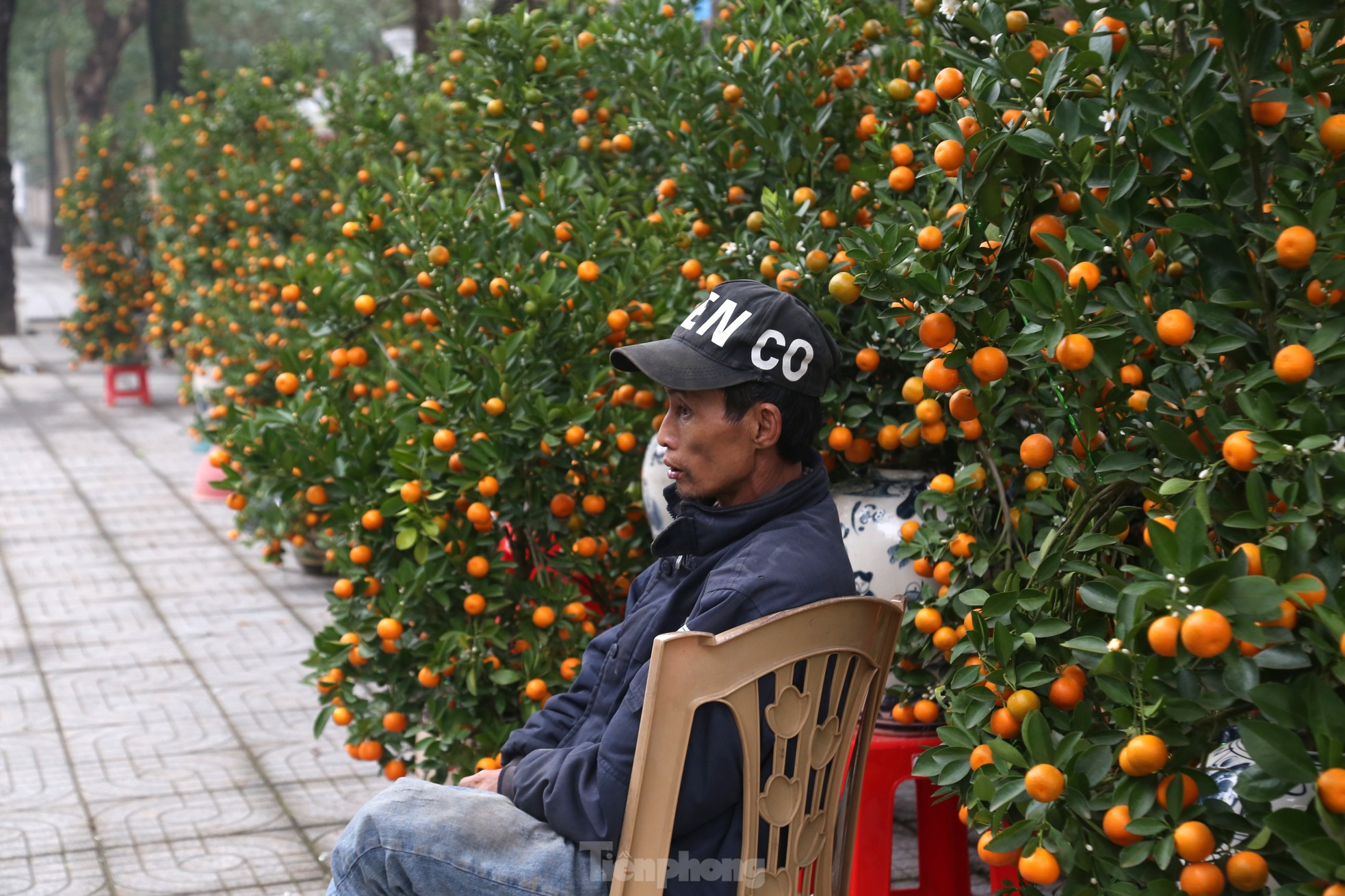 Dân buôn đào quất như 'ngồi trên đống lửa' ngày cận Tết - Ảnh 10