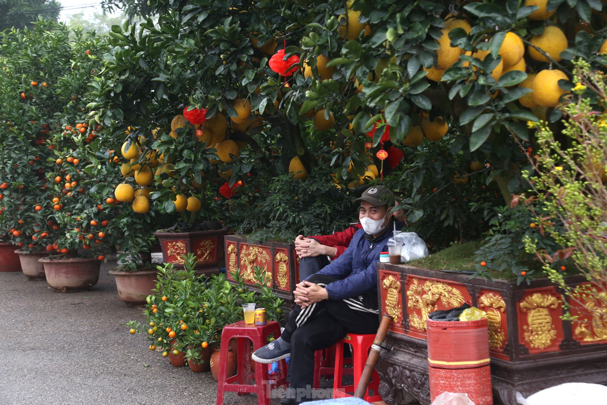 Dân buôn đào quất như 'ngồi trên đống lửa' ngày cận Tết - Ảnh 13