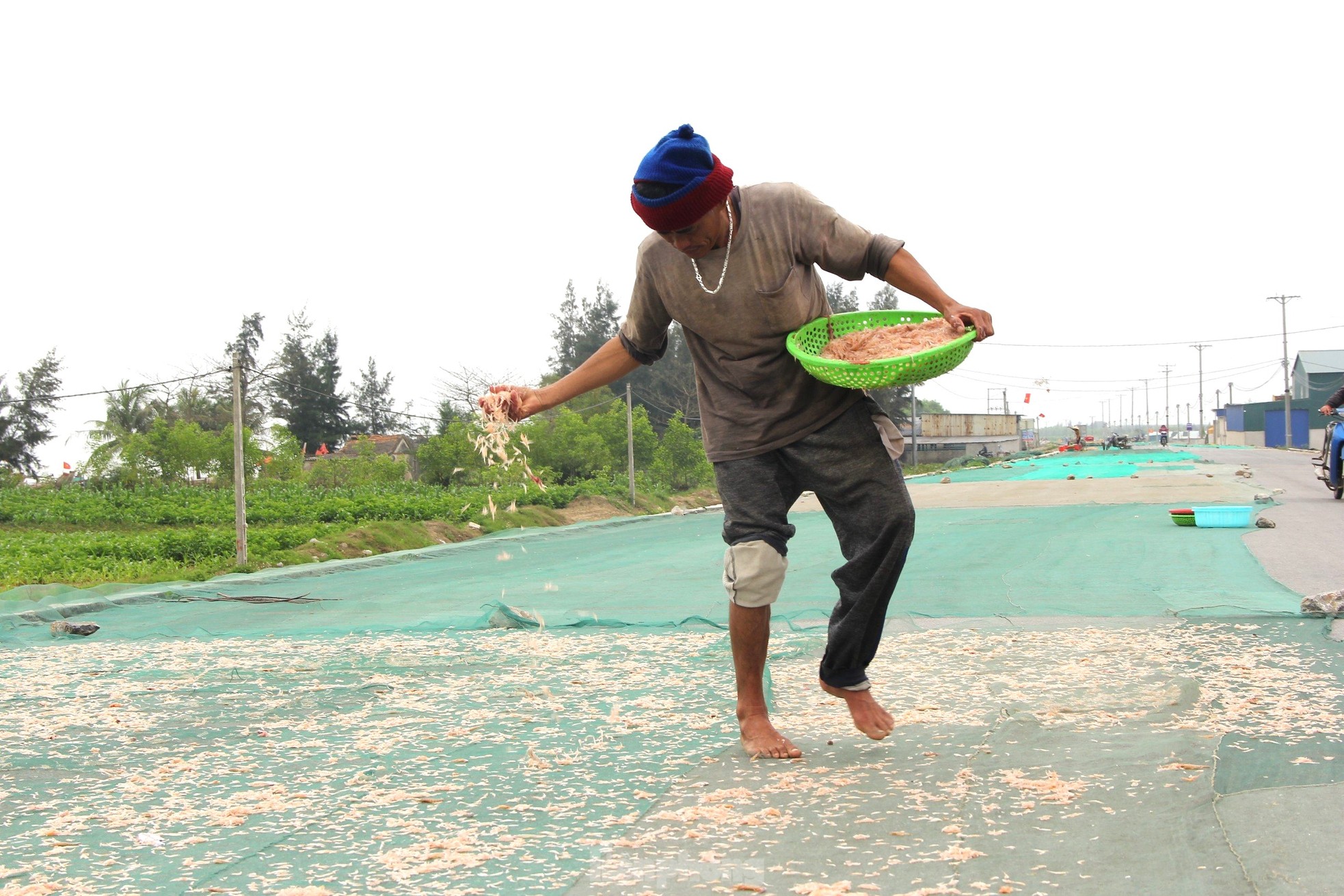 Sau vài giờ xông biển đầu năm, ngư dân thu tiền triệu - Ảnh 10