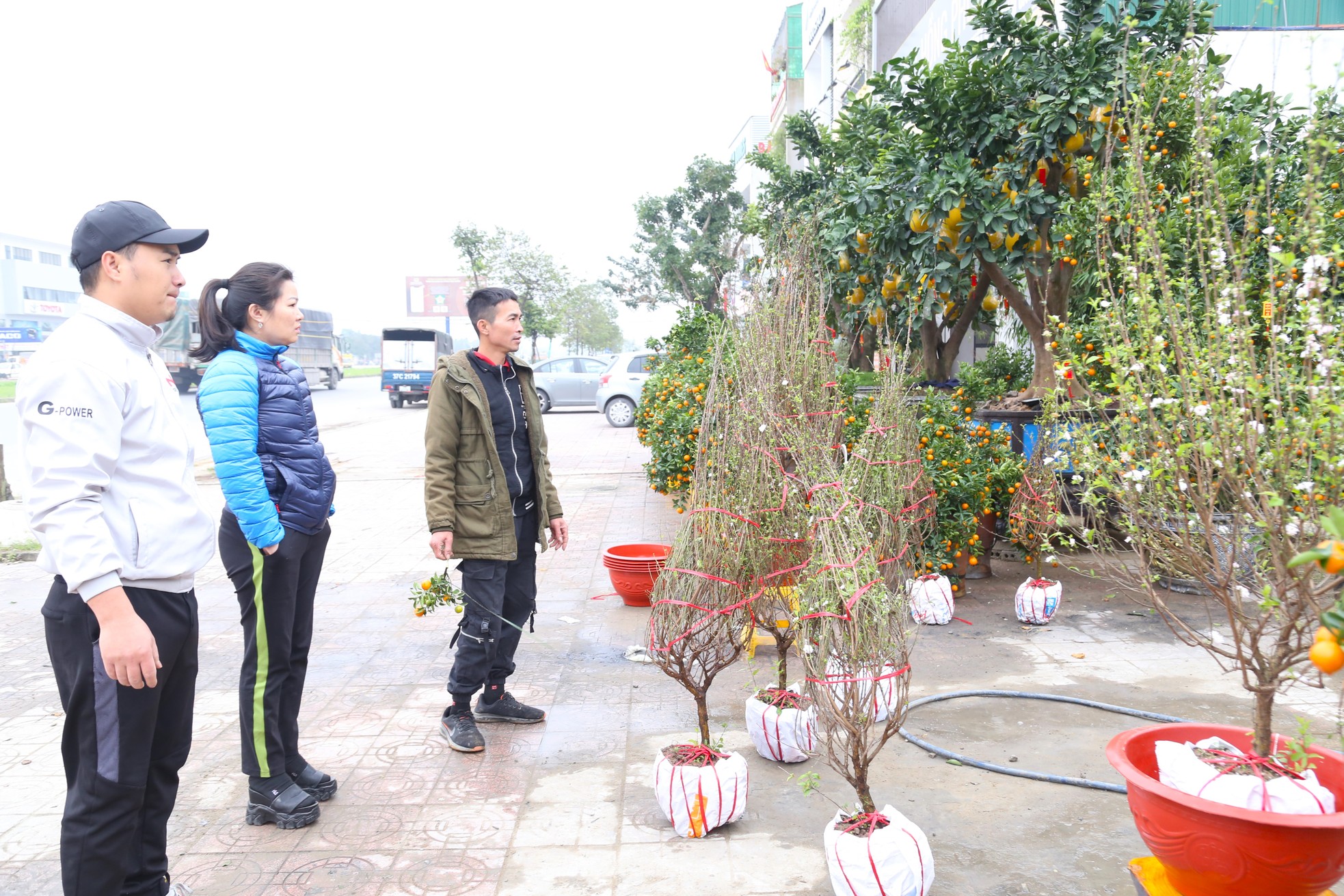 Dân buôn đào quất như 'ngồi trên đống lửa' ngày cận Tết - Ảnh 6