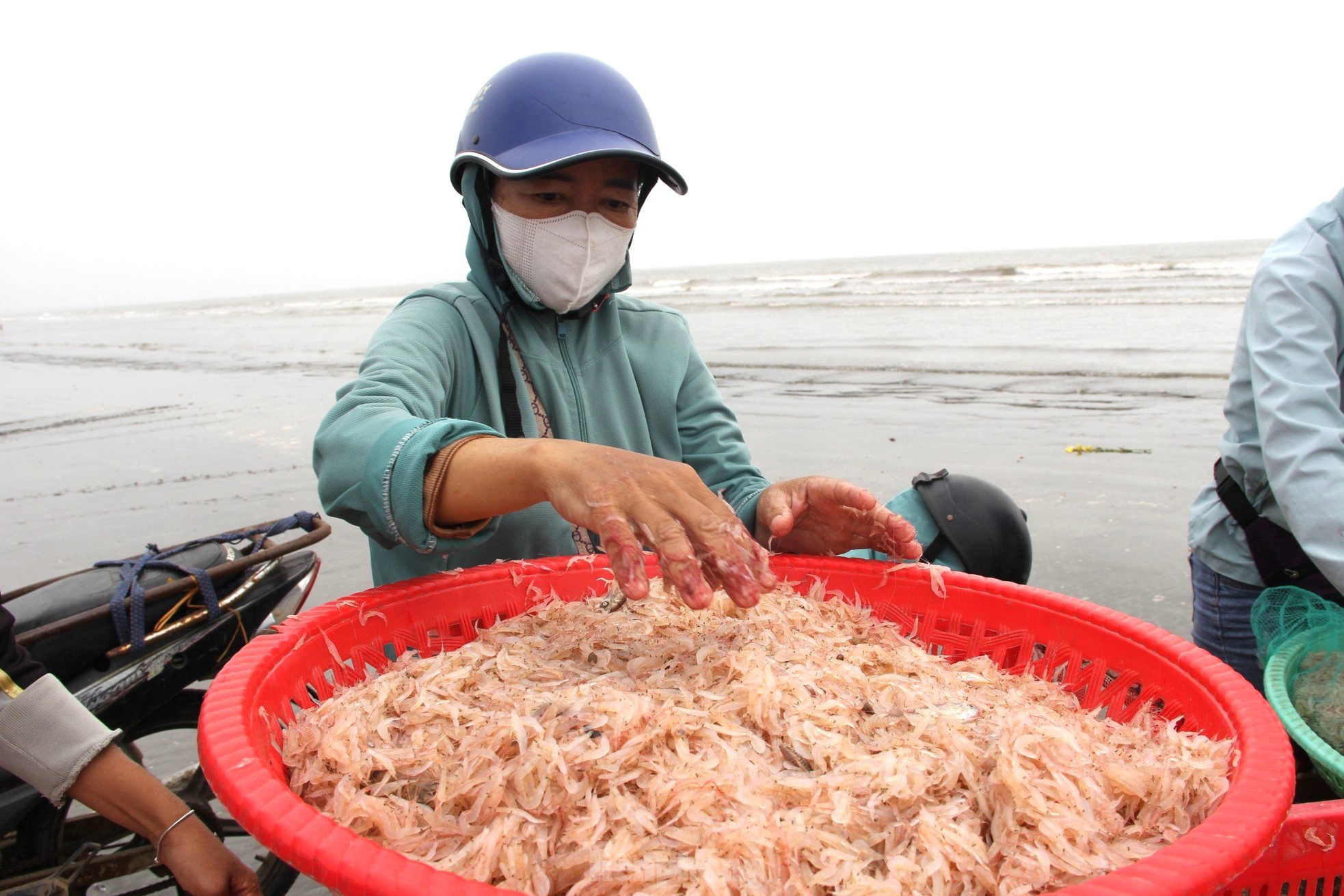 Sau vài giờ xông biển đầu năm, ngư dân thu tiền triệu - Ảnh 7