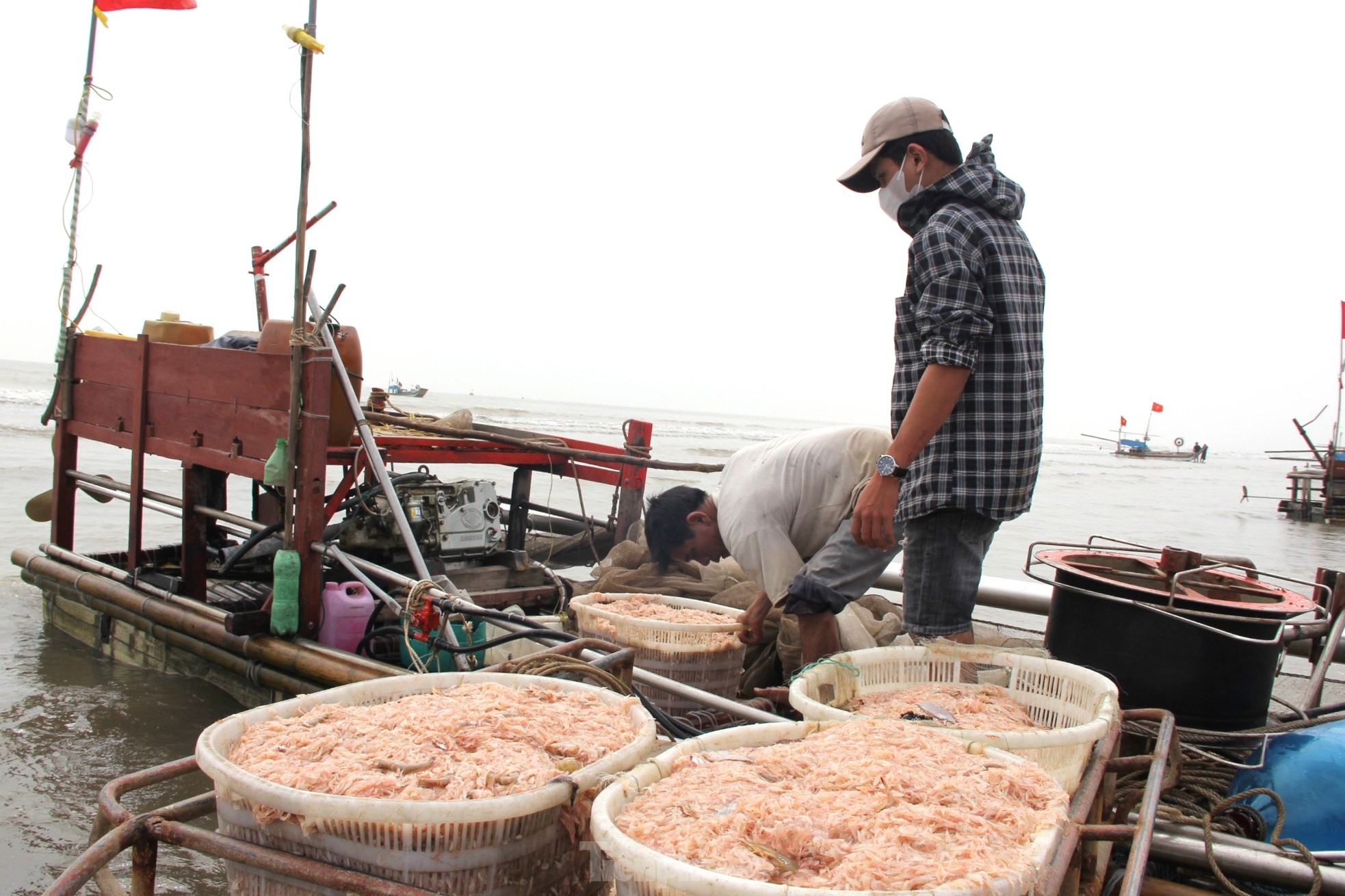 Sau vài giờ xông biển đầu năm, ngư dân thu tiền triệu - Ảnh 5