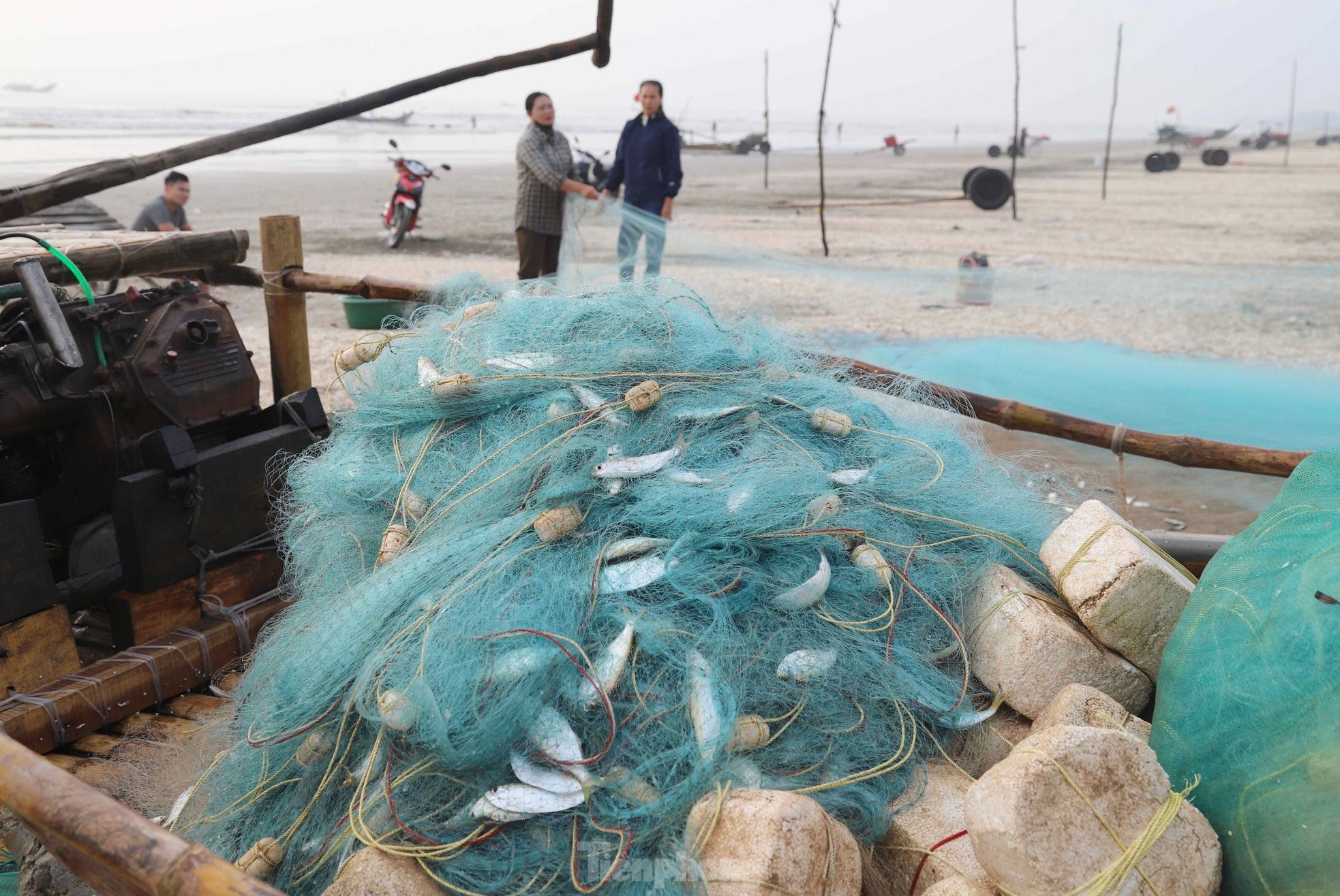 Sau vài giờ xông biển đầu năm, ngư dân thu tiền triệu - Ảnh 13