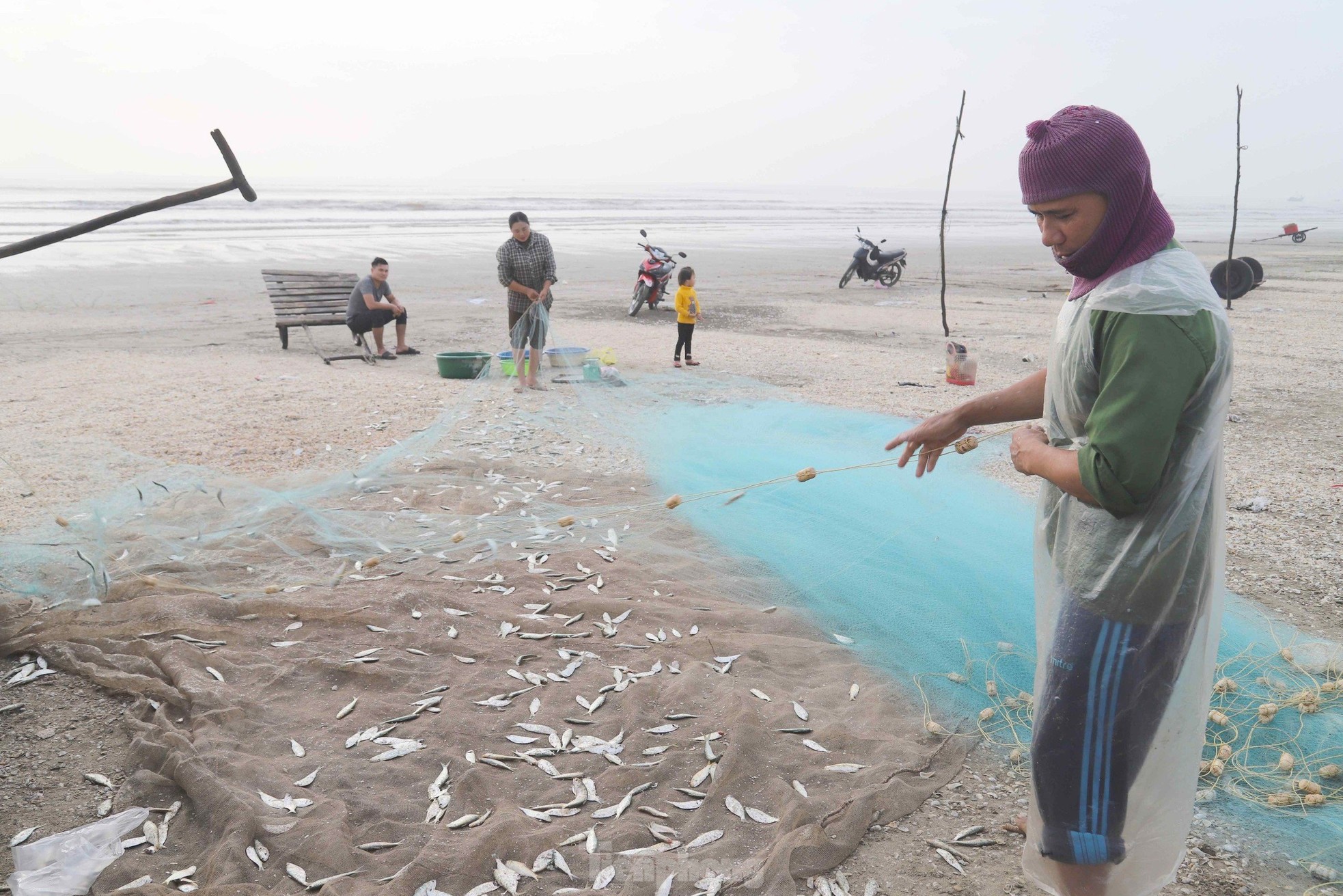 Sau vài giờ xông biển đầu năm, ngư dân thu tiền triệu - Ảnh 15