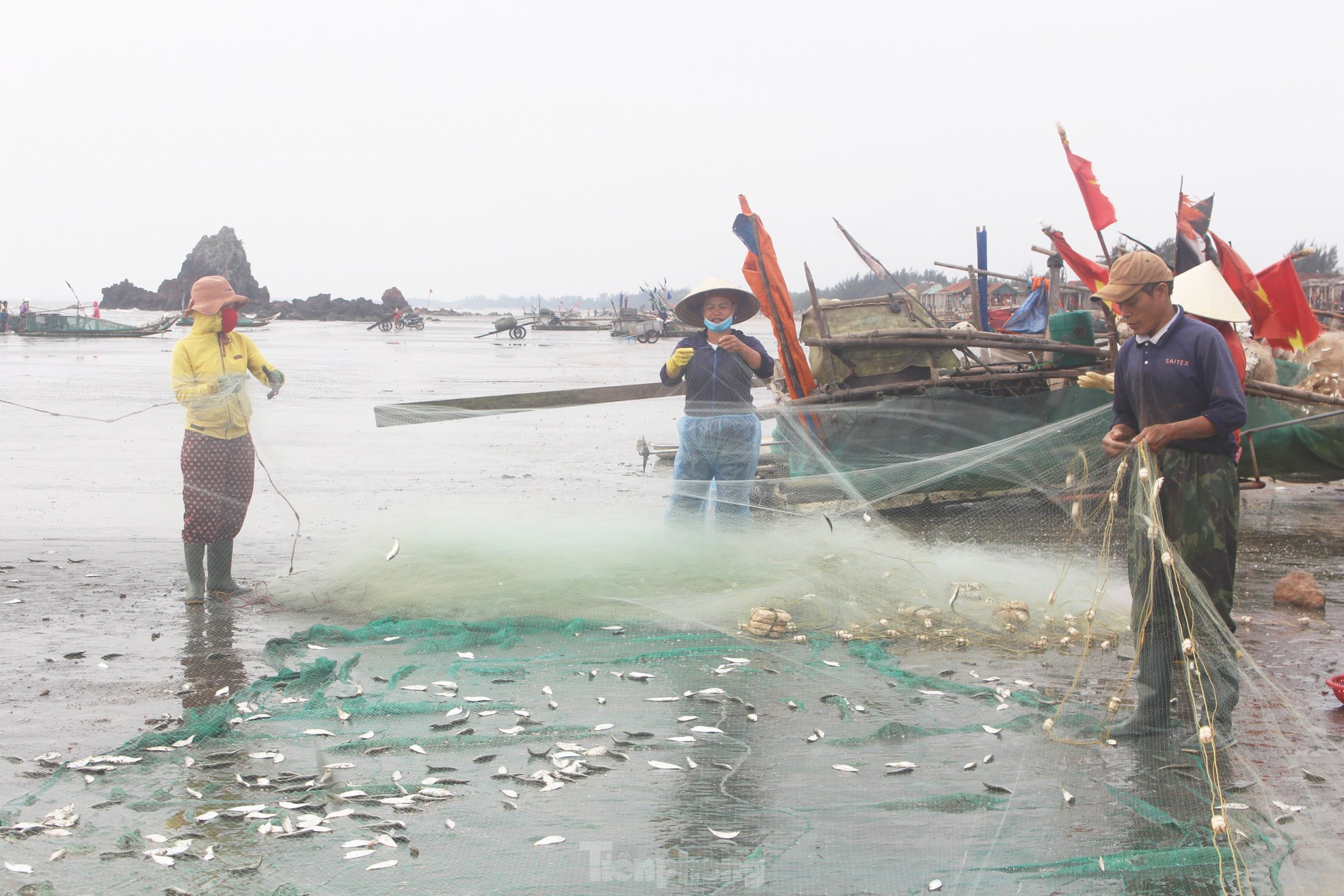 Sau vài giờ xông biển đầu năm, ngư dân thu tiền triệu - Ảnh 12