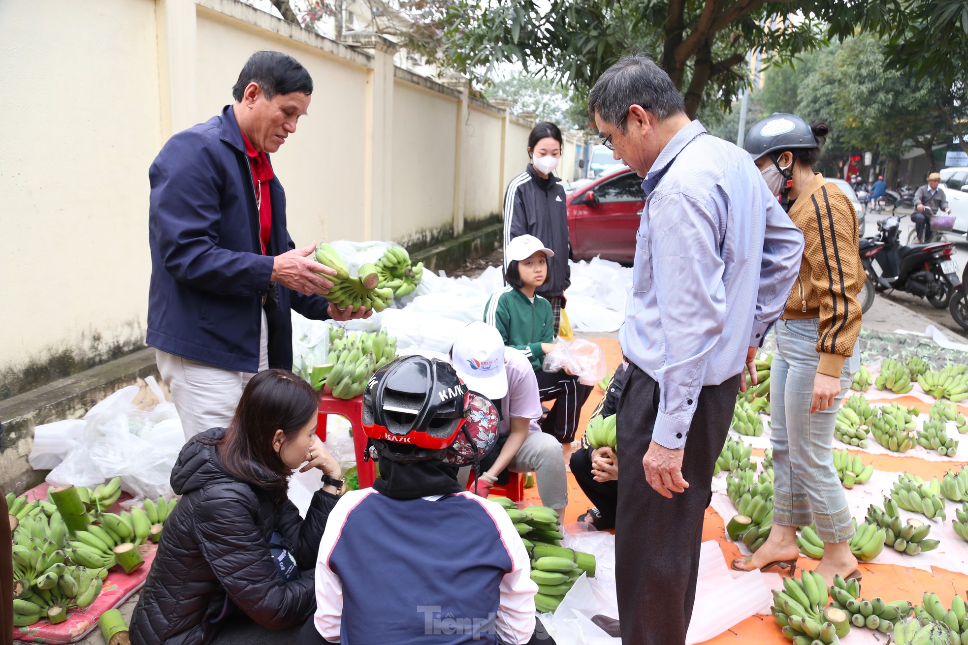 Chuối xanh Tết tăng giá vùn vụt - Ảnh 13