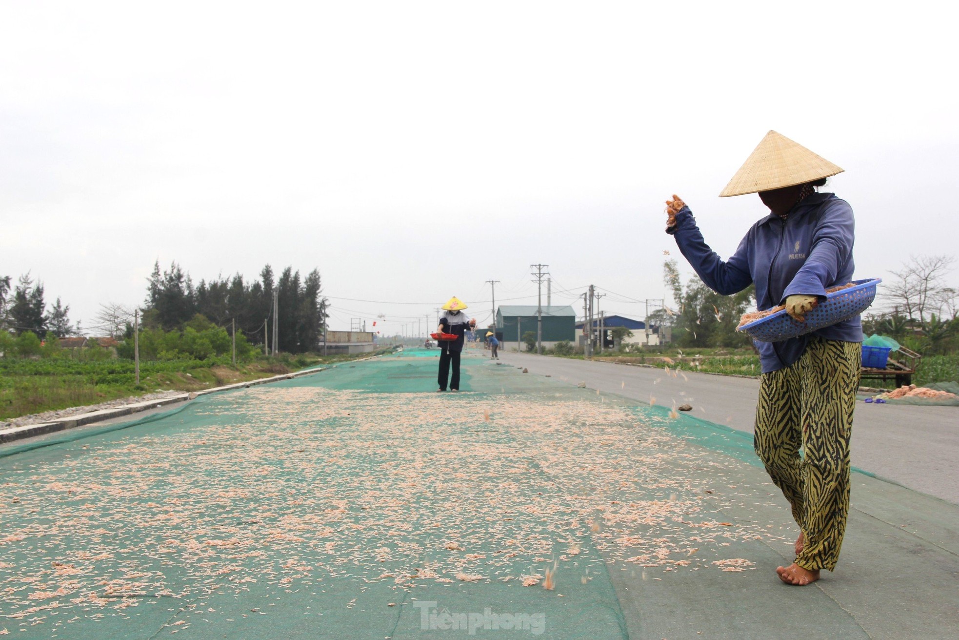 Sau vài giờ xông biển đầu năm, ngư dân thu tiền triệu - Ảnh 11