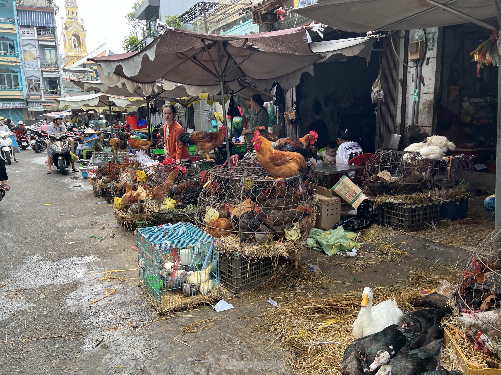 Phiên chợ 30 Tết: Chỉ cần hàng đẹp là xuống tiền - Ảnh 9