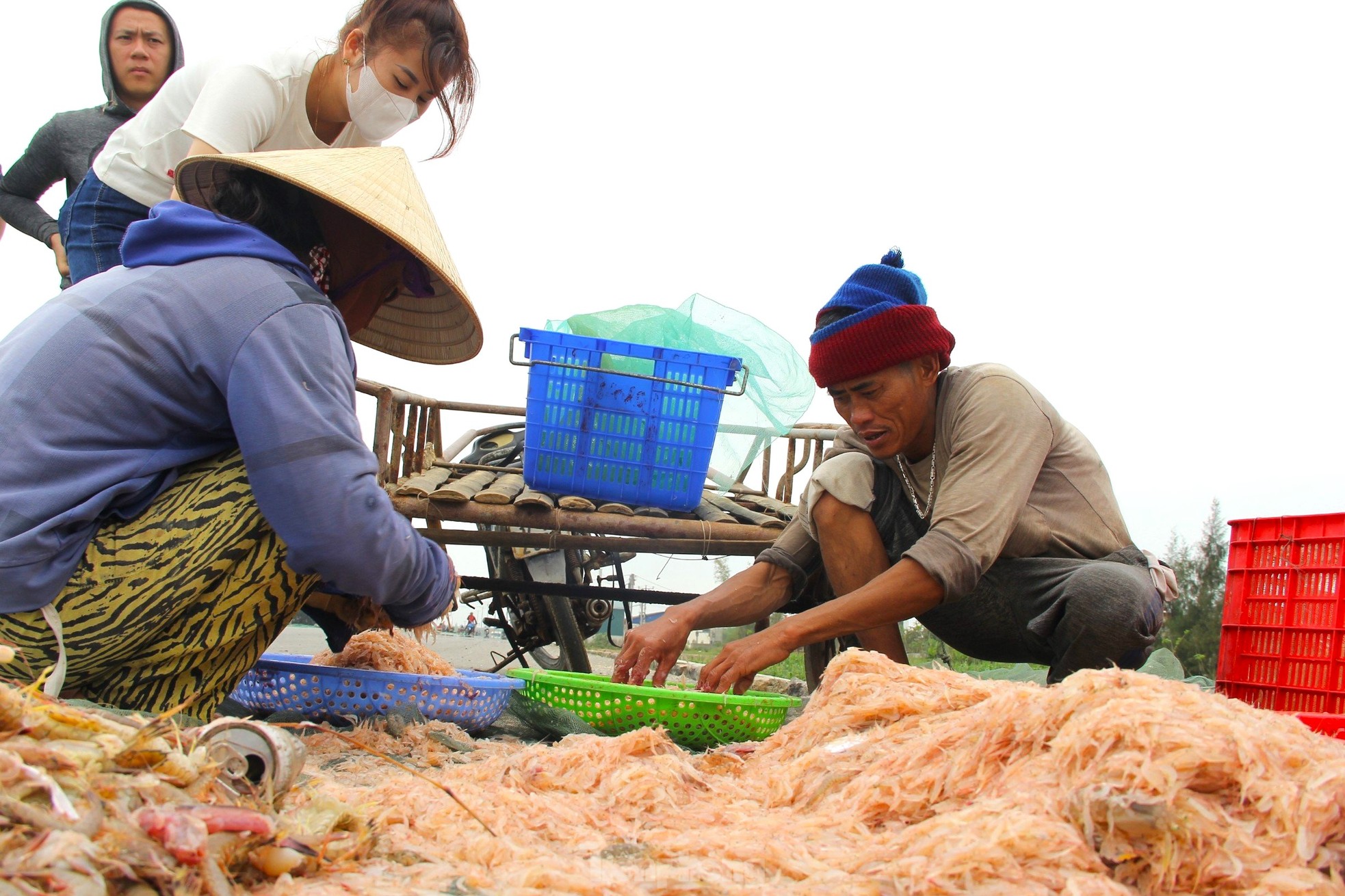 Sau vài giờ xông biển đầu năm, ngư dân thu tiền triệu - Ảnh 4