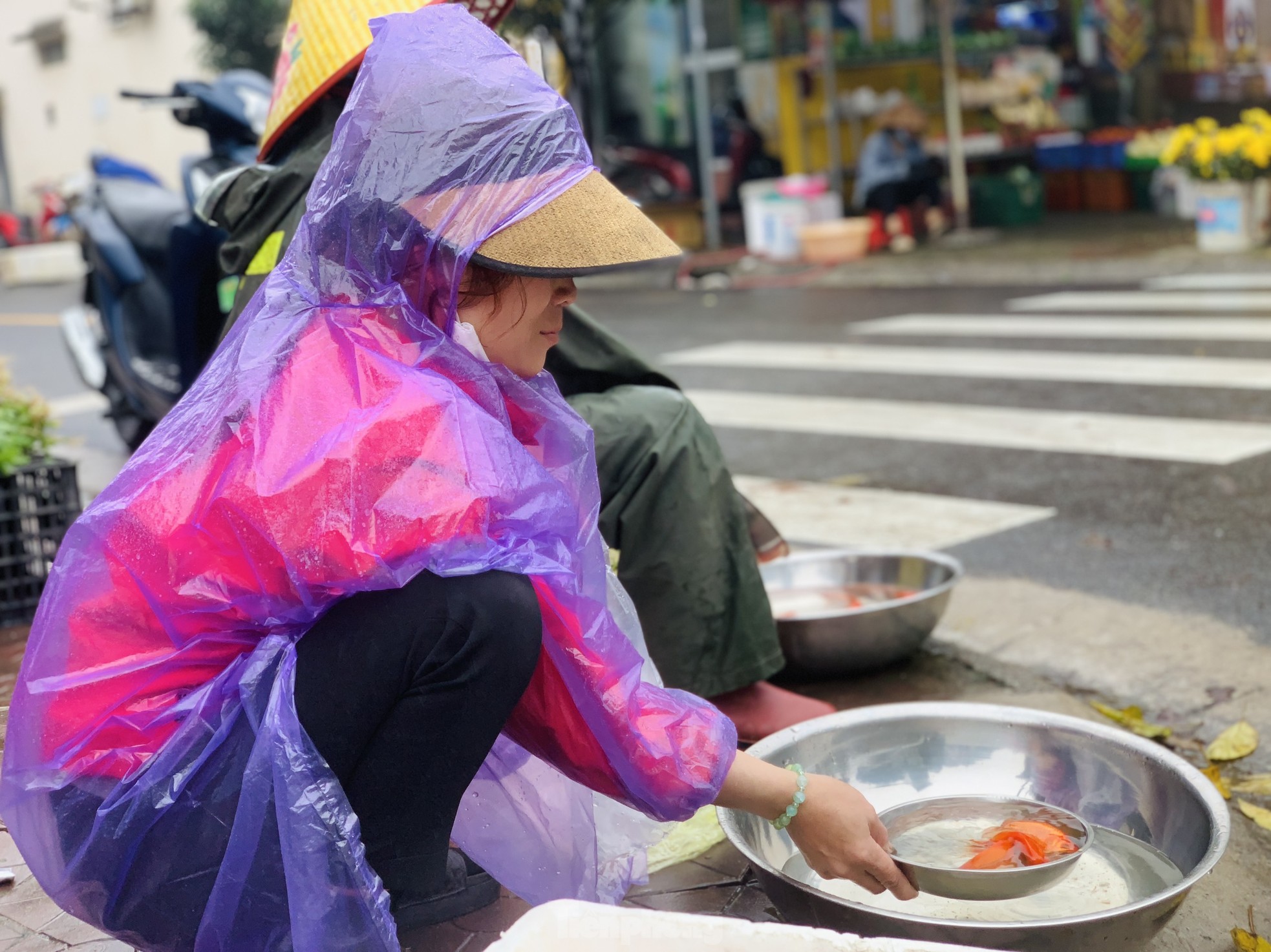 Ế 'vật cưỡi' ông Công ông Táo, dân nóng ruột chờ khách - Ảnh 6