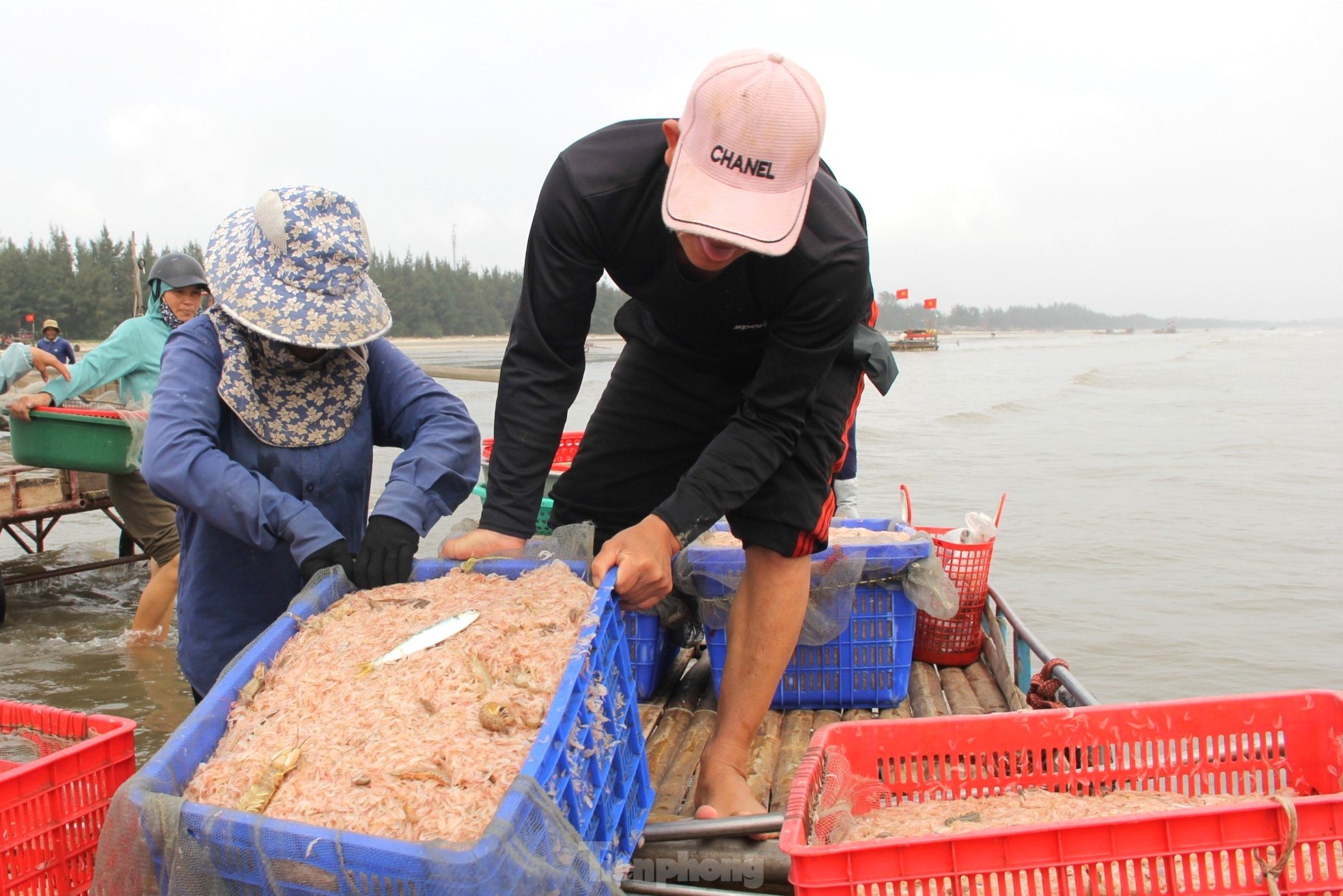 Sau vài giờ xông biển đầu năm, ngư dân thu tiền triệu - Ảnh 3