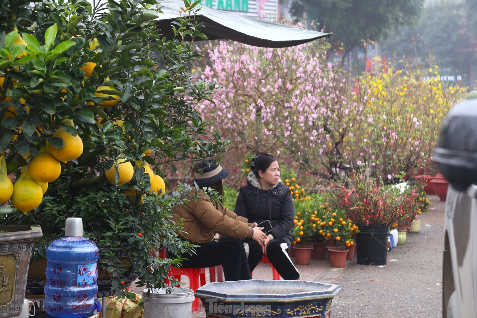 Dân buôn đào quất như 'ngồi trên đống lửa' ngày cận Tết - Ảnh 2