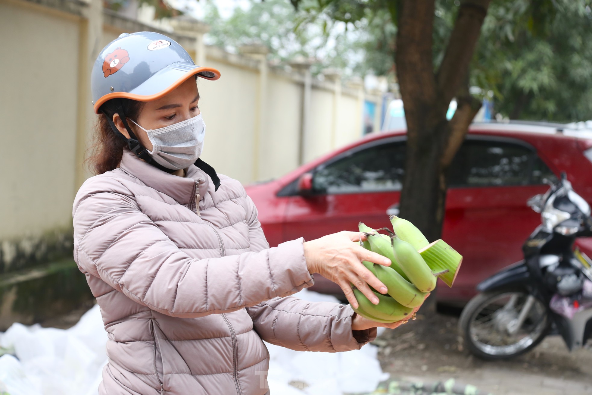 Chuối xanh Tết tăng giá vùn vụt - Ảnh 6