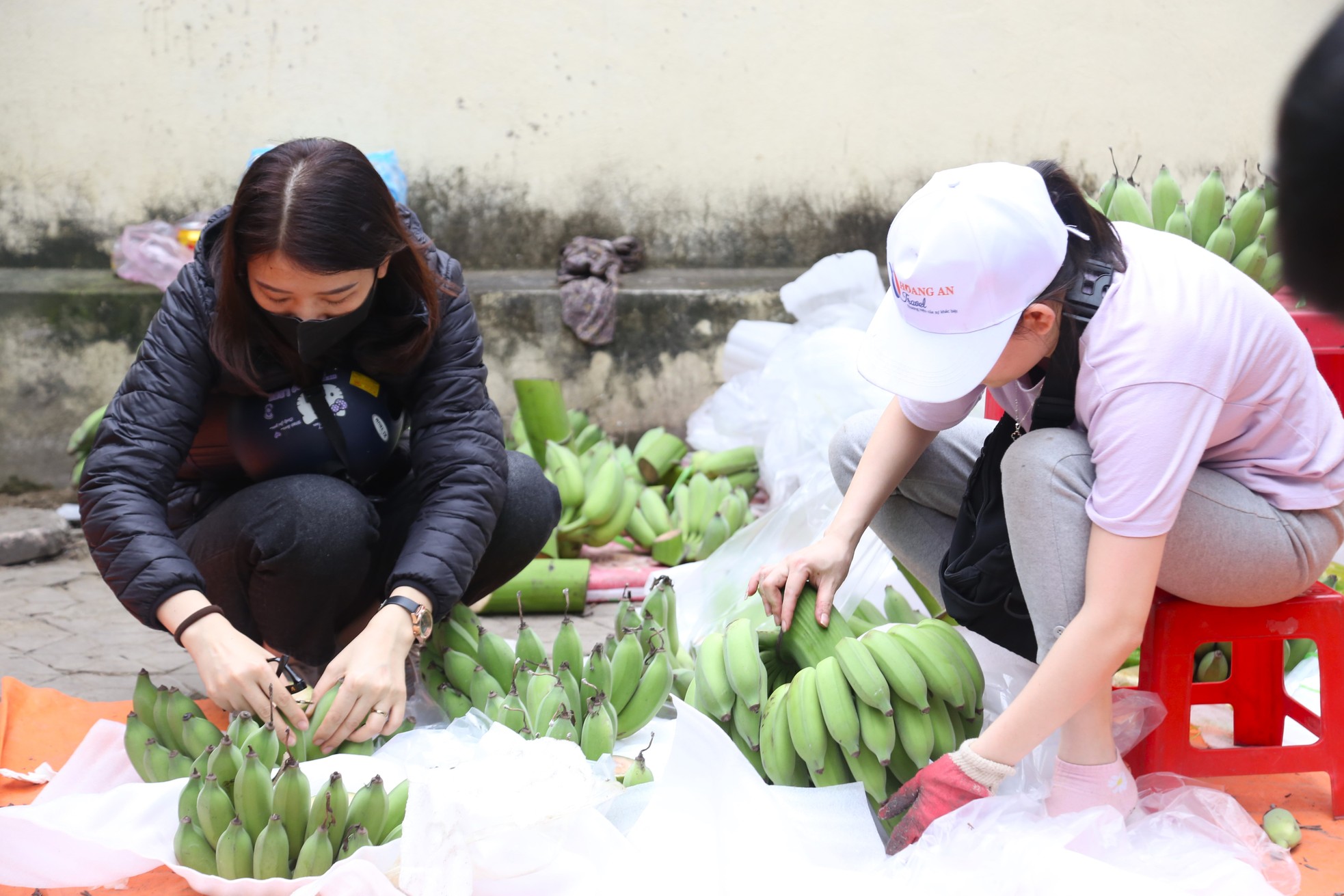 Chuối xanh Tết tăng giá vùn vụt - Ảnh 3