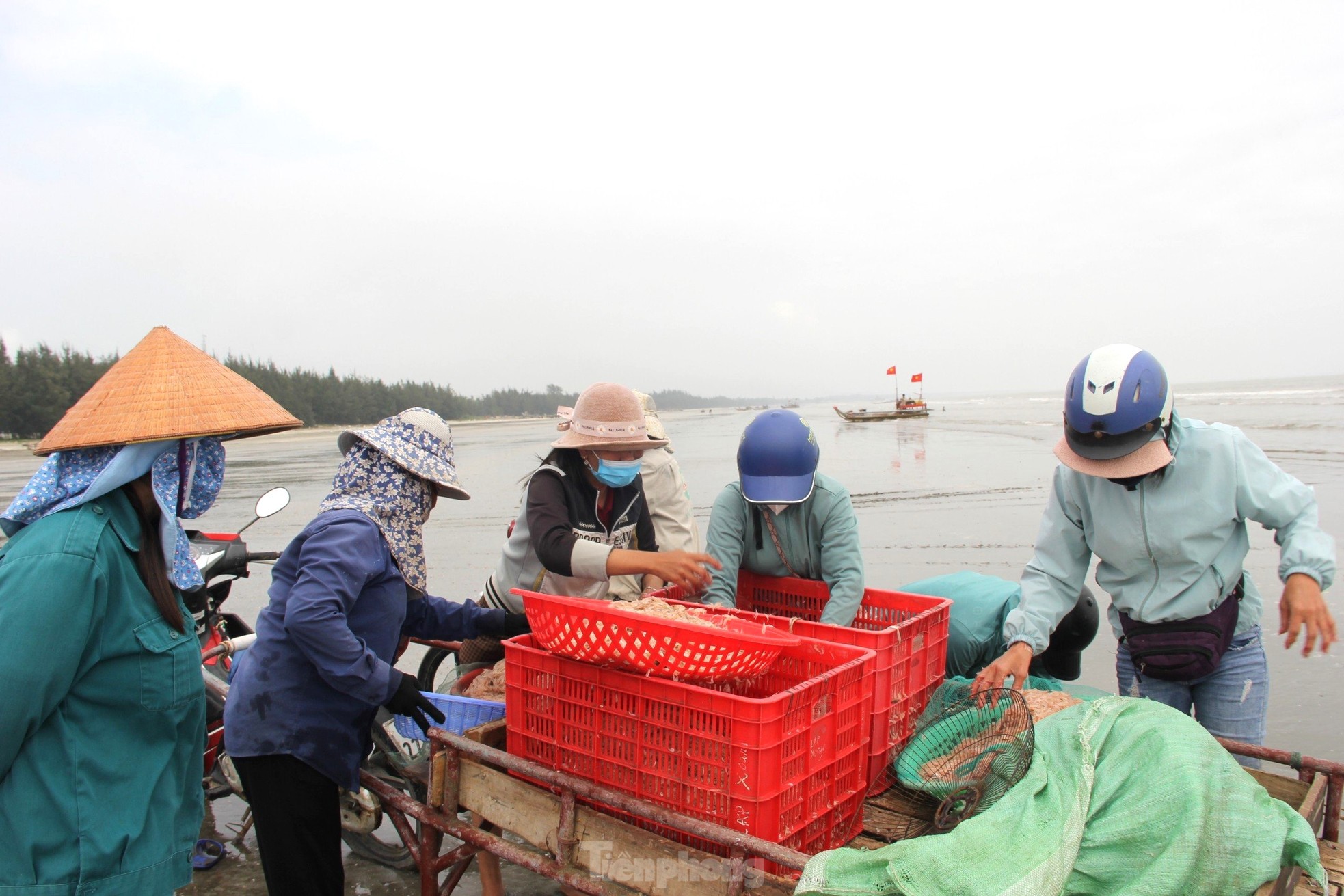 Sau vài giờ xông biển đầu năm, ngư dân thu tiền triệu - Ảnh 6