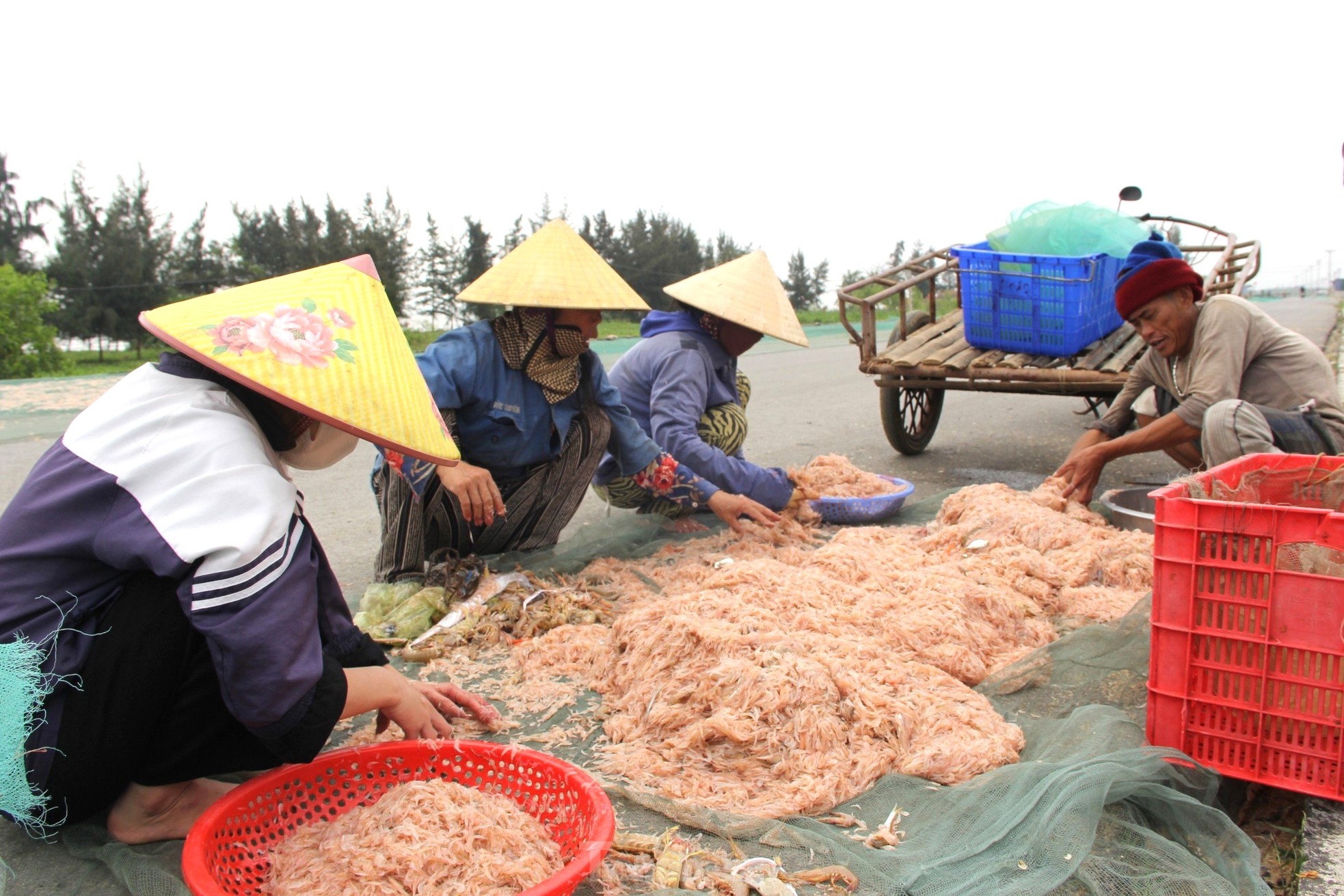 Sau vài giờ xông biển đầu năm, ngư dân thu tiền triệu - Ảnh 9