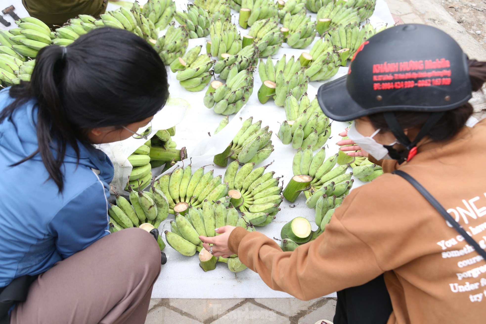 Chuối xanh Tết tăng giá vùn vụt - Ảnh 4