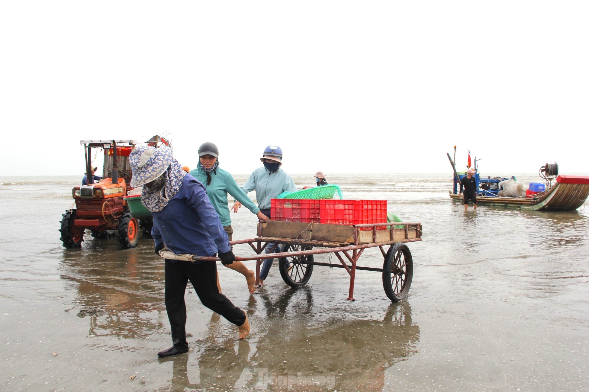 Sau vài giờ xông biển đầu năm, ngư dân thu tiền triệu - Ảnh 1