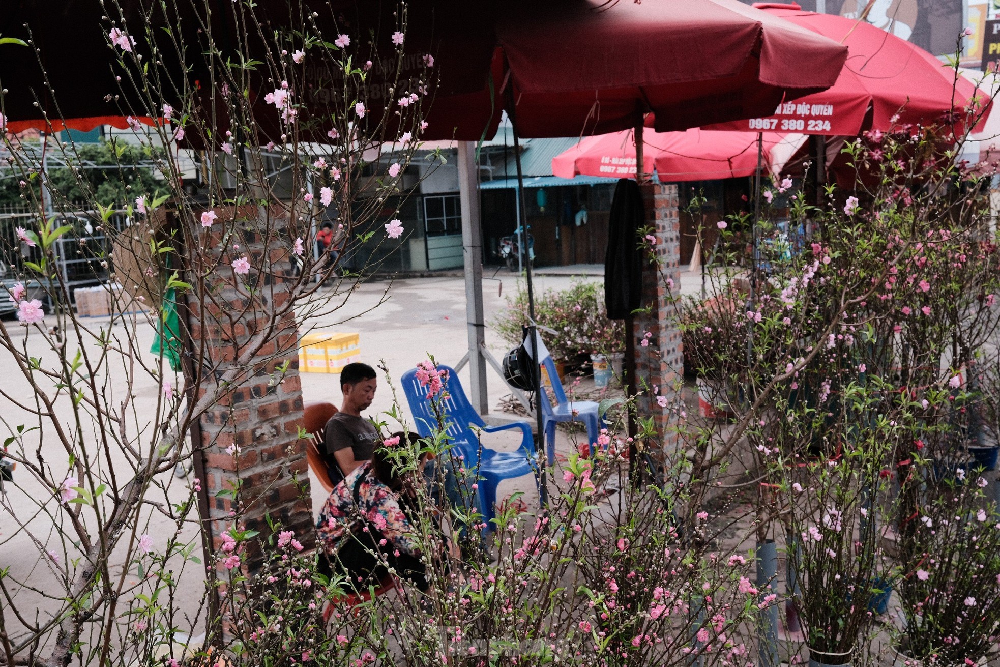 Xả đào kịch sàn sau Tết, tiểu thương vẫn ngán ngẩm lắc đầu - Ảnh 4