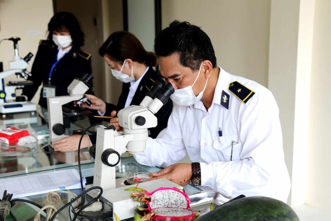 Hơn 100 xe nông sản ‘mở hàng’ qua biên giới Lạng Sơn xuất Trung Quốc - Ảnh 2