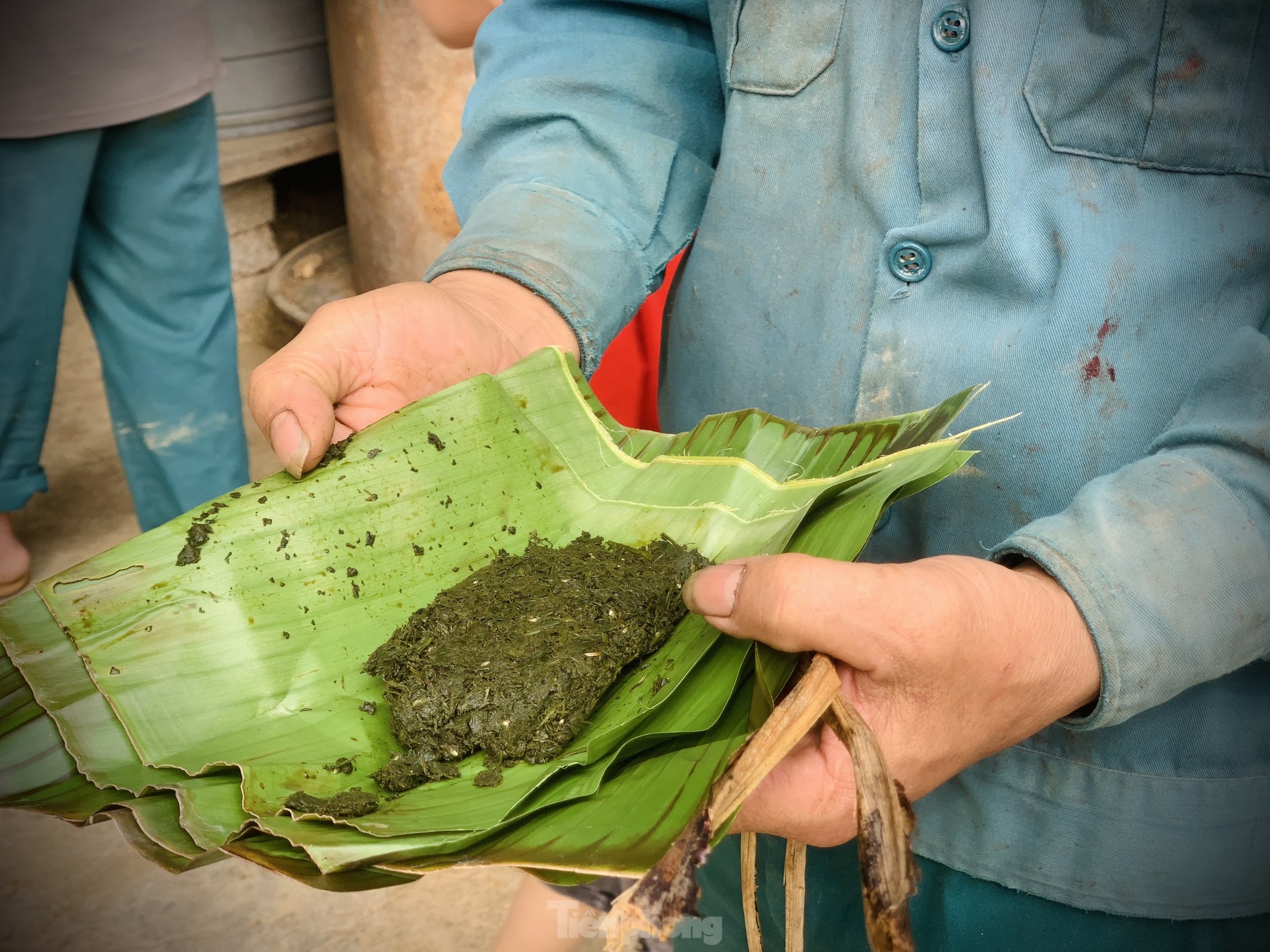 Kiếm bộn tiền từ nghề cắt lộc nhung hươu - Ảnh 4