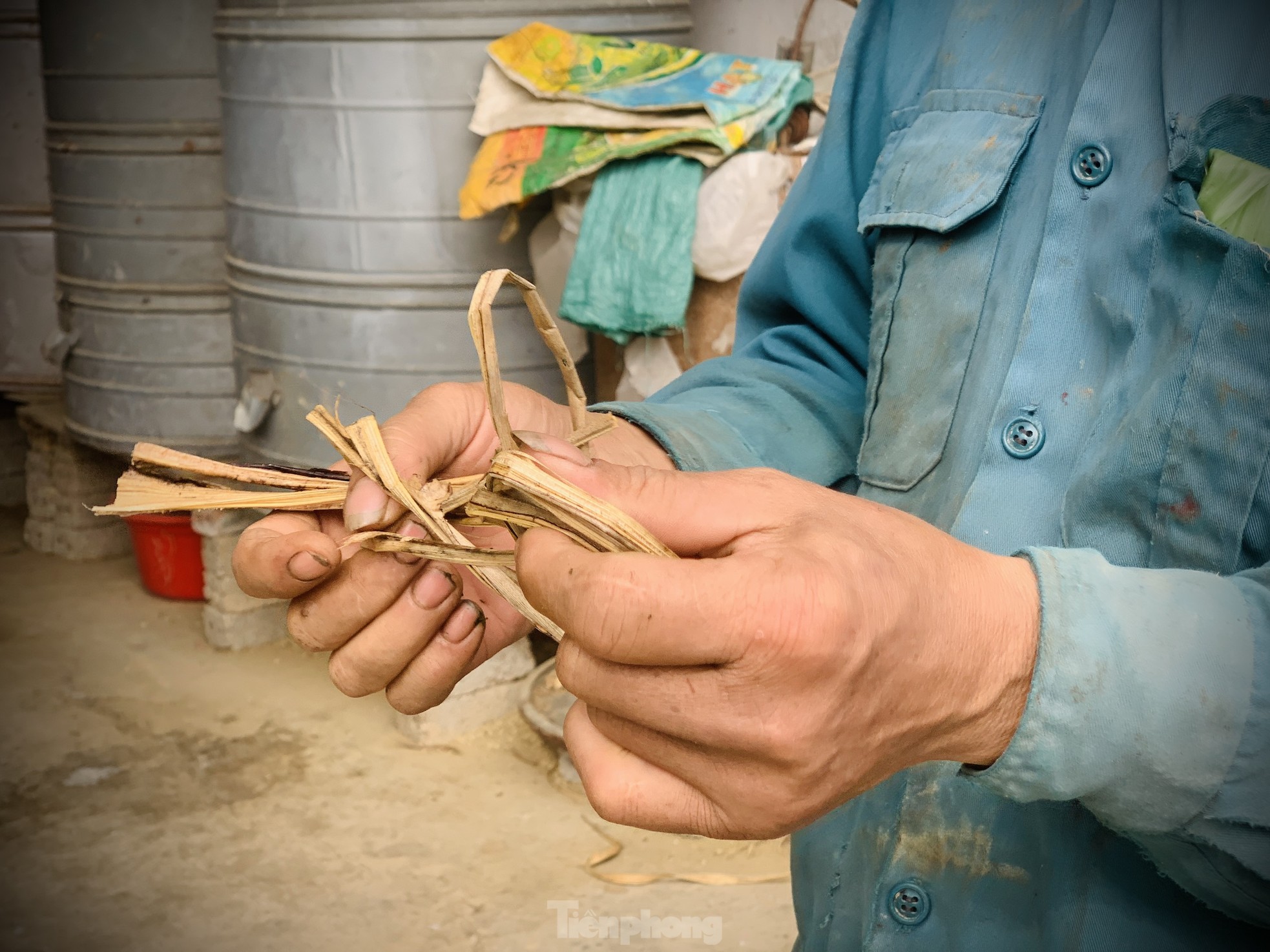 Kiếm bộn tiền từ nghề cắt lộc nhung hươu - Ảnh 5