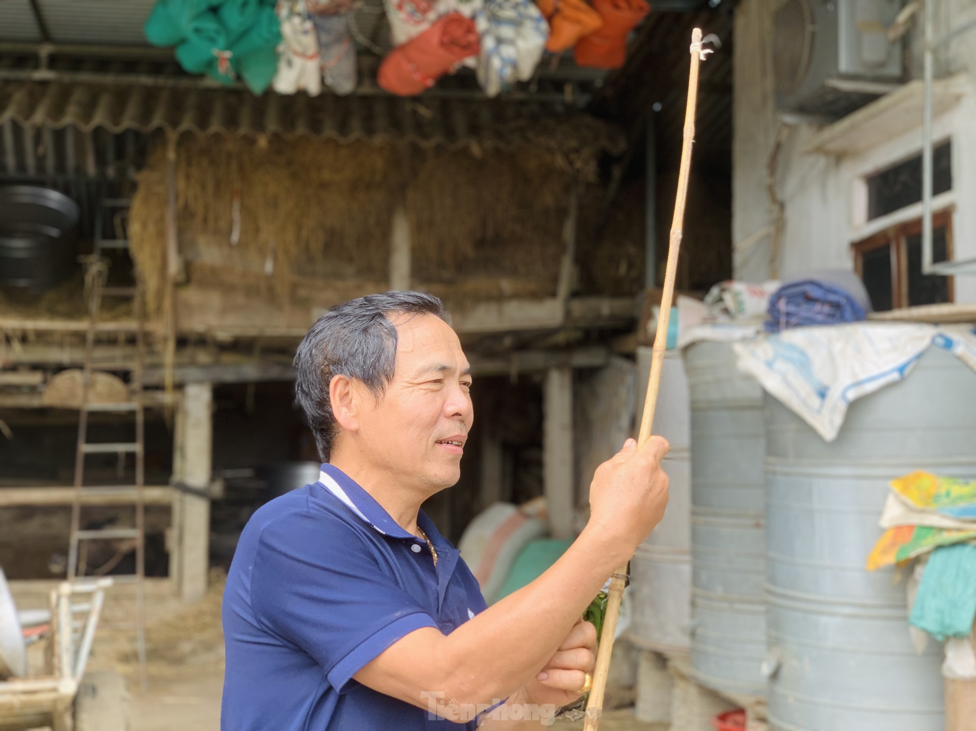 Kiếm bộn tiền từ nghề cắt lộc nhung hươu - Ảnh 6