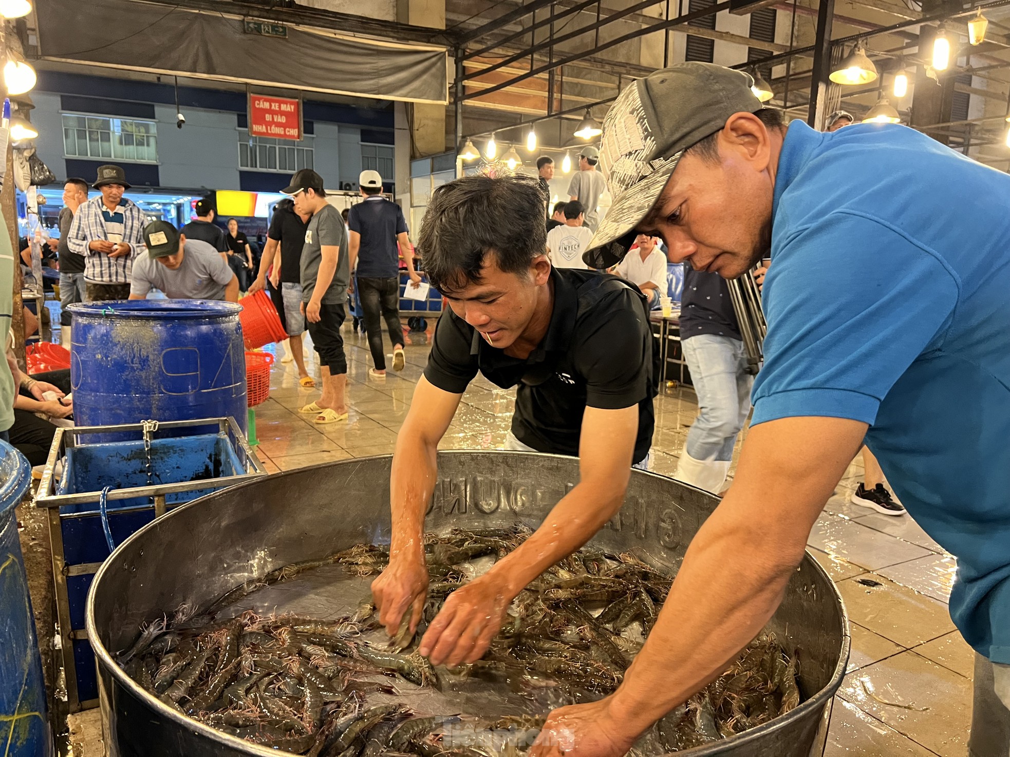 Hải sản đắt hàng, giá trứng thịt bất ngờ đảo chiều - Ảnh 5