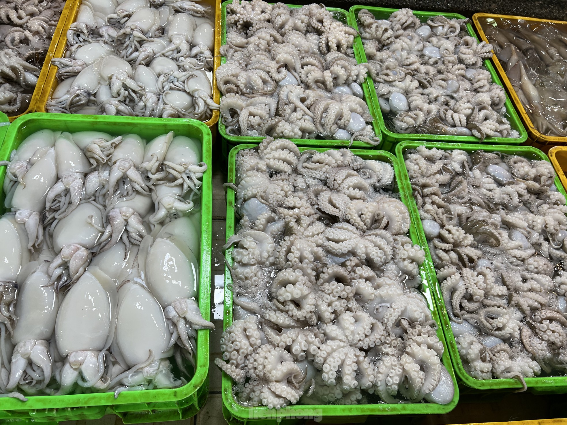 Hải sản đắt hàng, giá trứng thịt bất ngờ đảo chiều - Ảnh 6