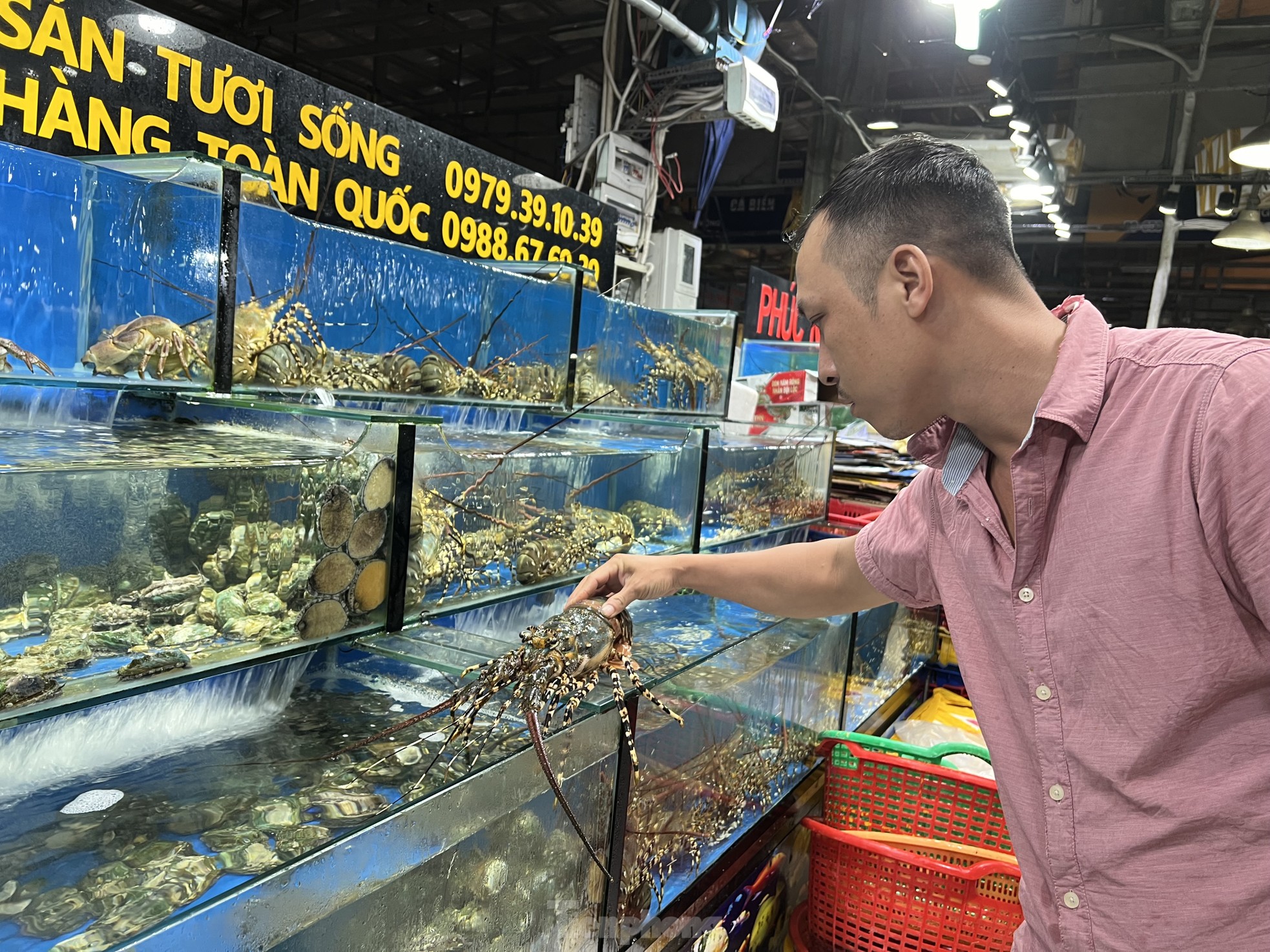 Hải sản đắt hàng, giá trứng thịt bất ngờ đảo chiều - Ảnh 4