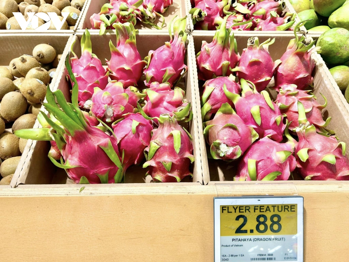 Xuất khẩu rau quả của Việt Nam sẽ lập kỷ lục mới? - Ảnh 1