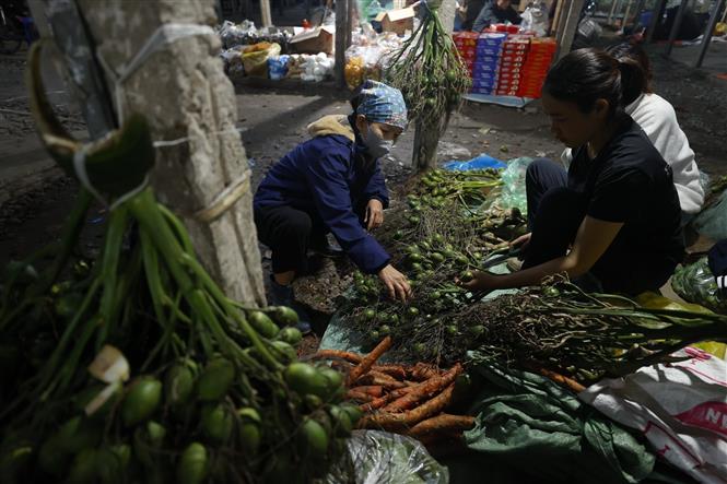 Hà Nội: Giá trầu cau neo cao dịp Rằm tháng Giêng - Ảnh 1